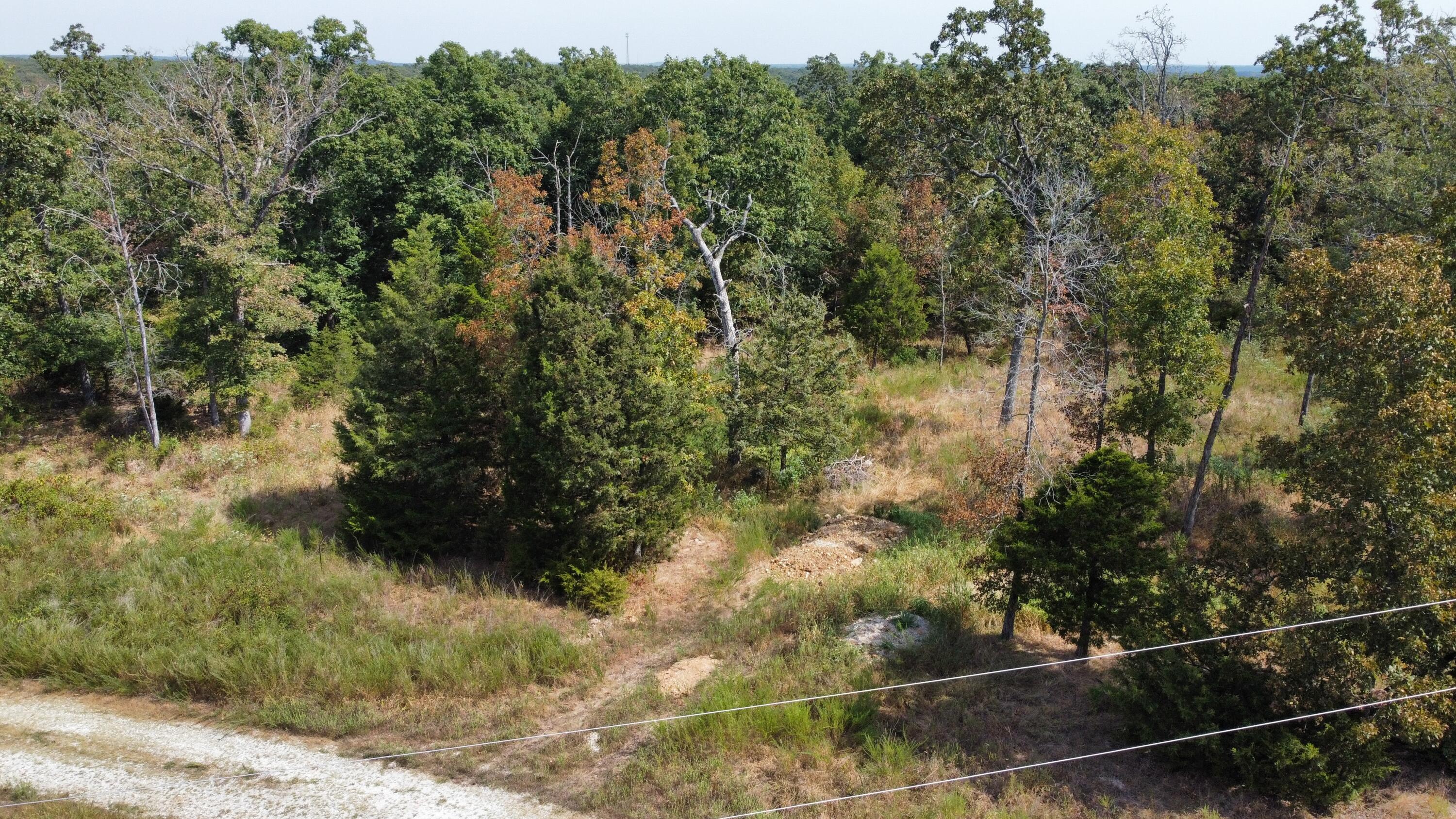 Photo 19 - Land for sale – 21721  Canyon Drive  Wheatland, MO