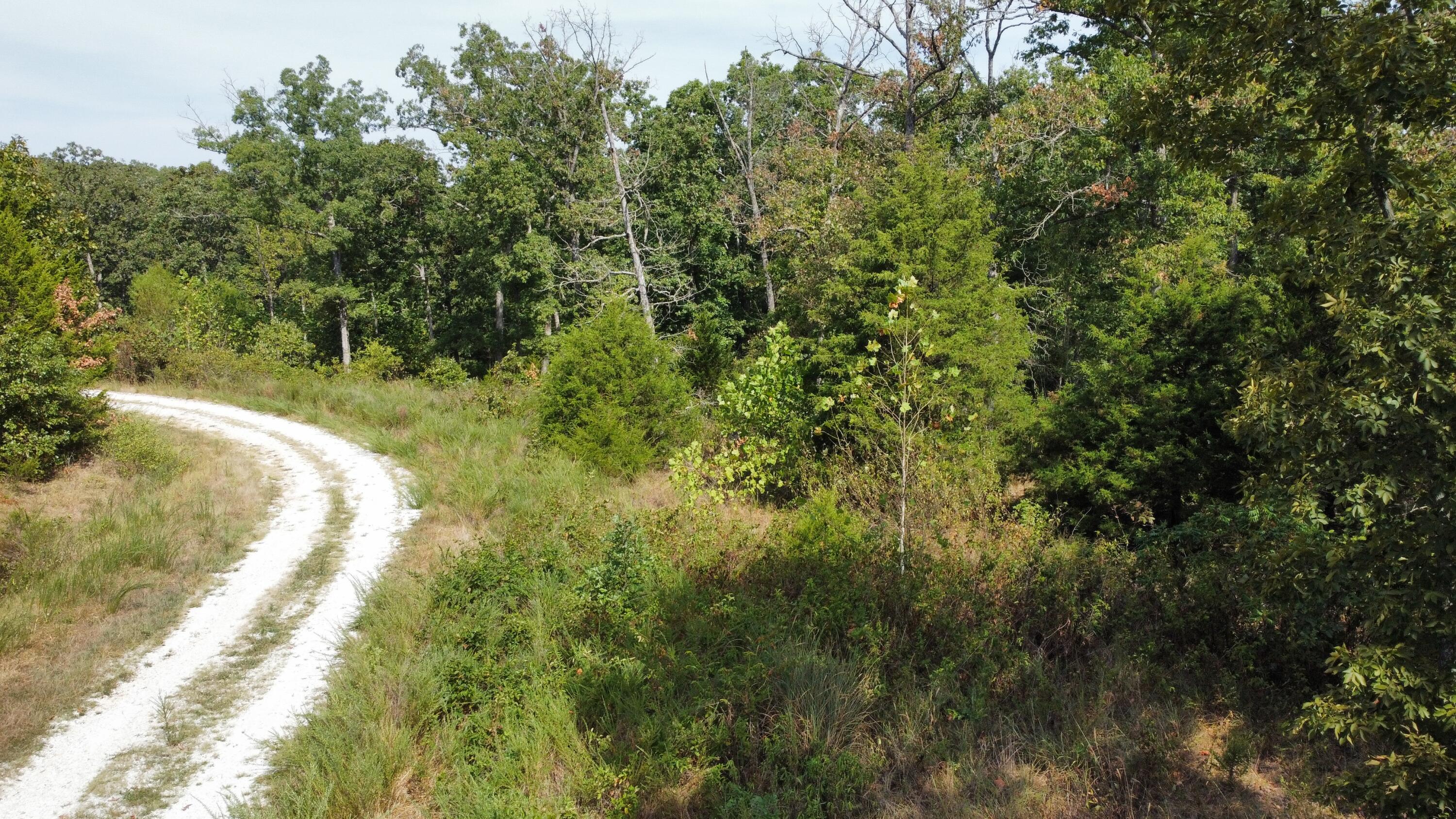 Photo 15 - Land for sale – 21721  Canyon Drive  Wheatland, MO
