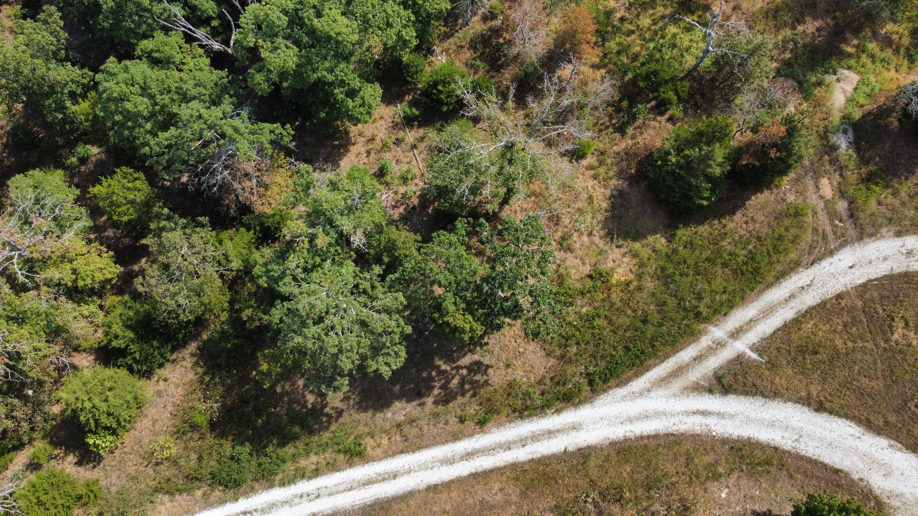 Photo 17 - Land for sale – 21721  Canyon Drive  Wheatland, MO