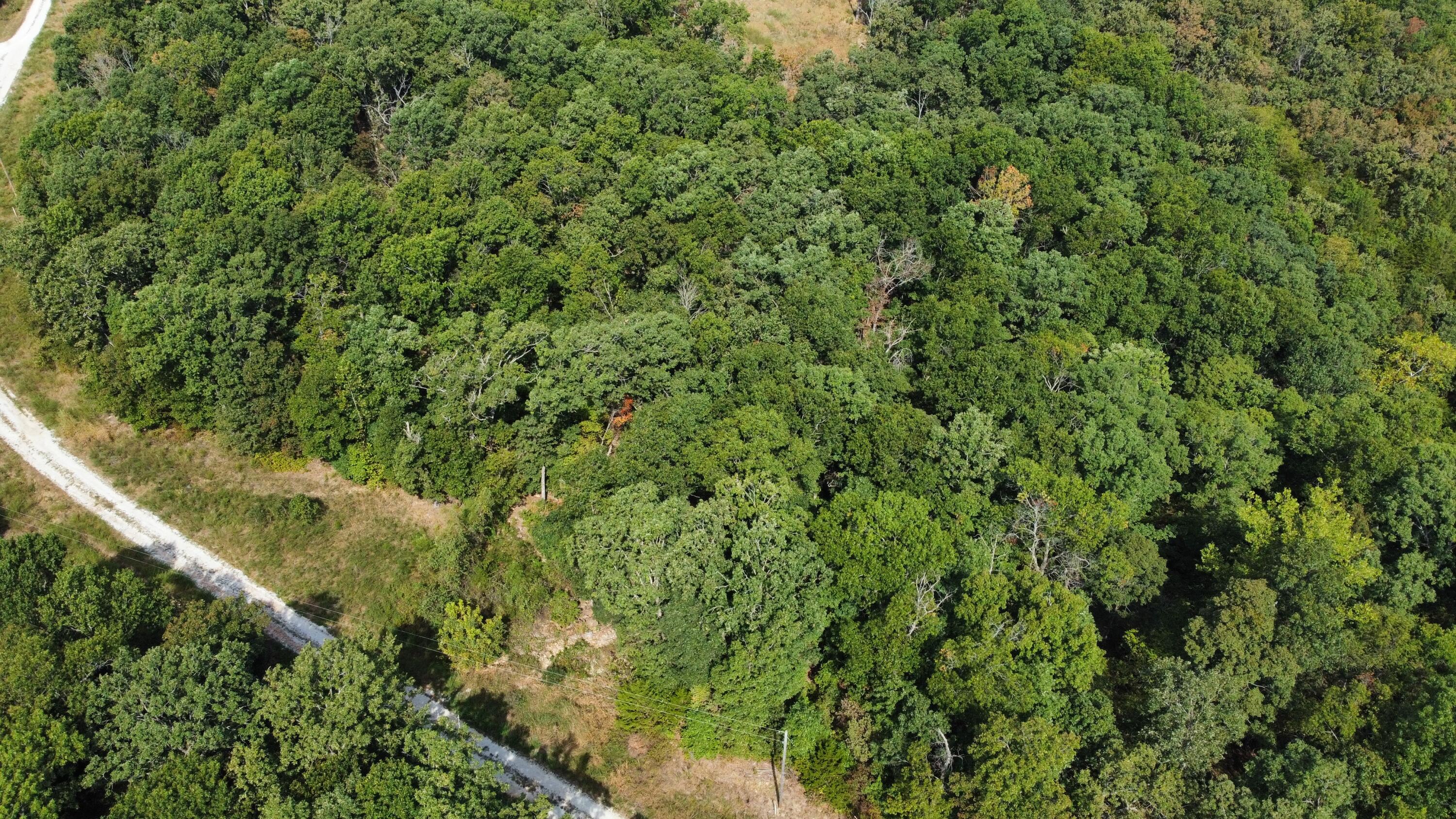 Photo 10 - Land for sale – 21721  Canyon Drive  Wheatland, MO