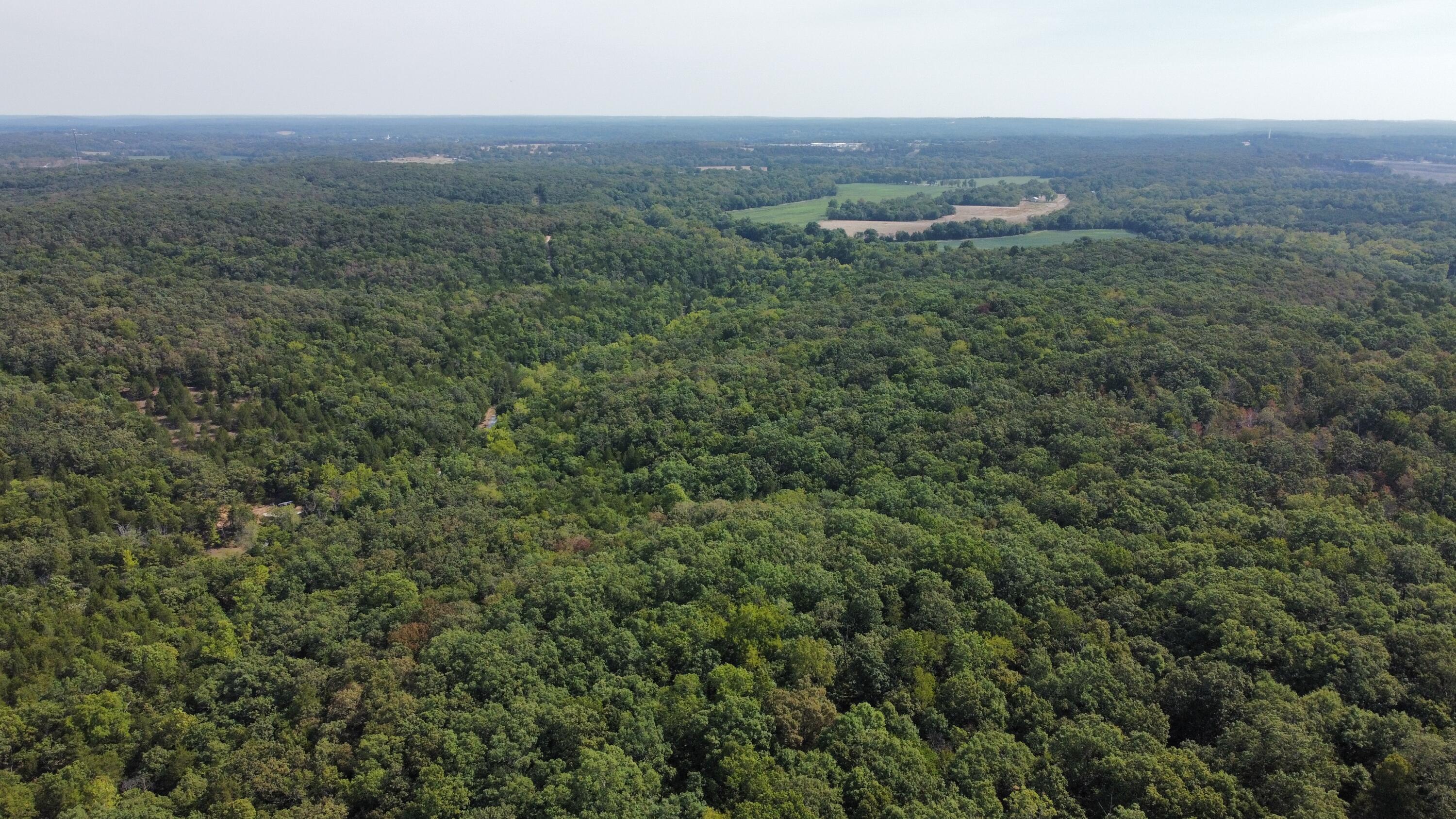 Photo 4 - Land for sale – 21721  Canyon Drive  Wheatland, MO