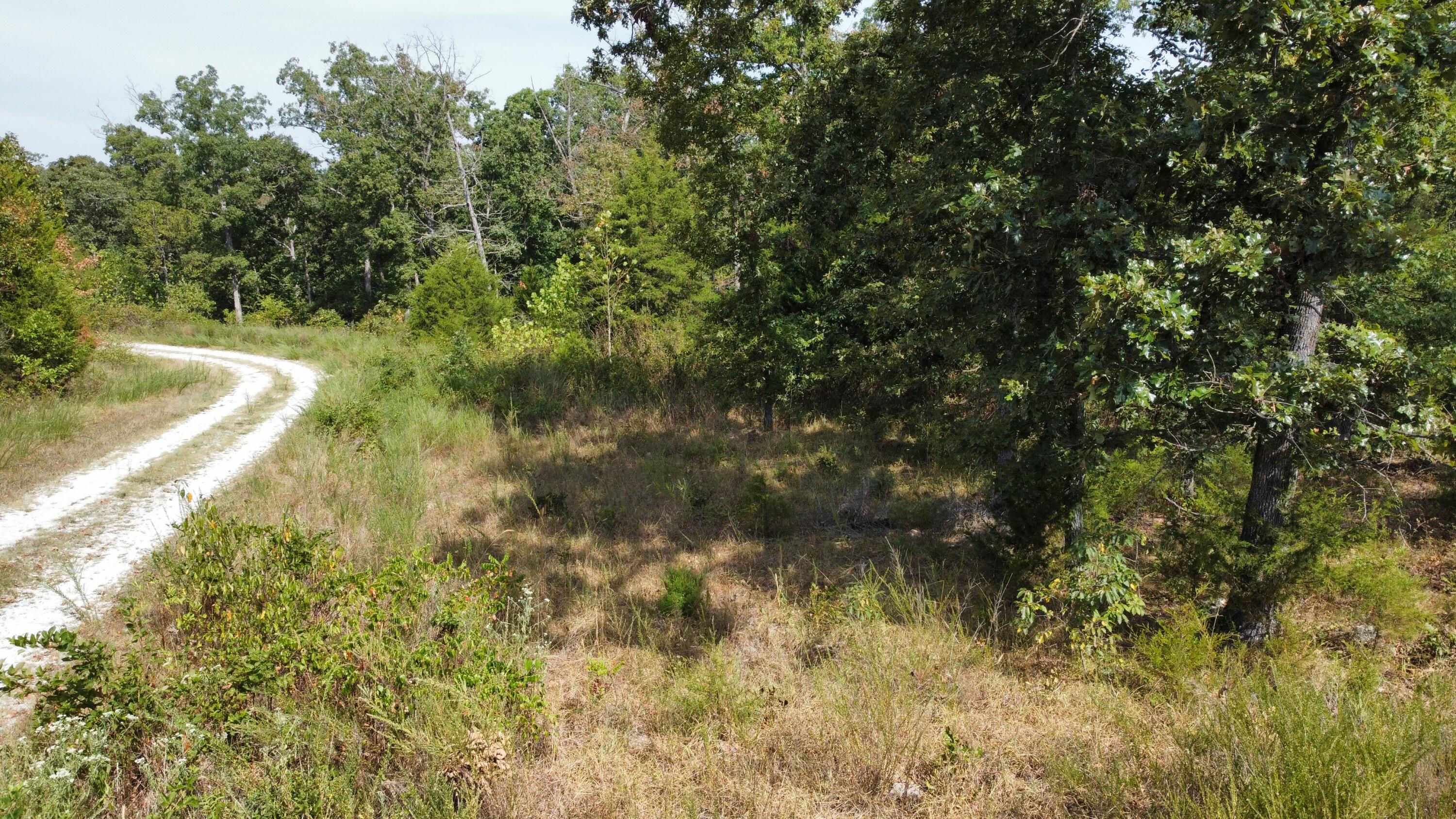 Photo 14 - Land for sale – 21721  Canyon Drive  Wheatland, MO