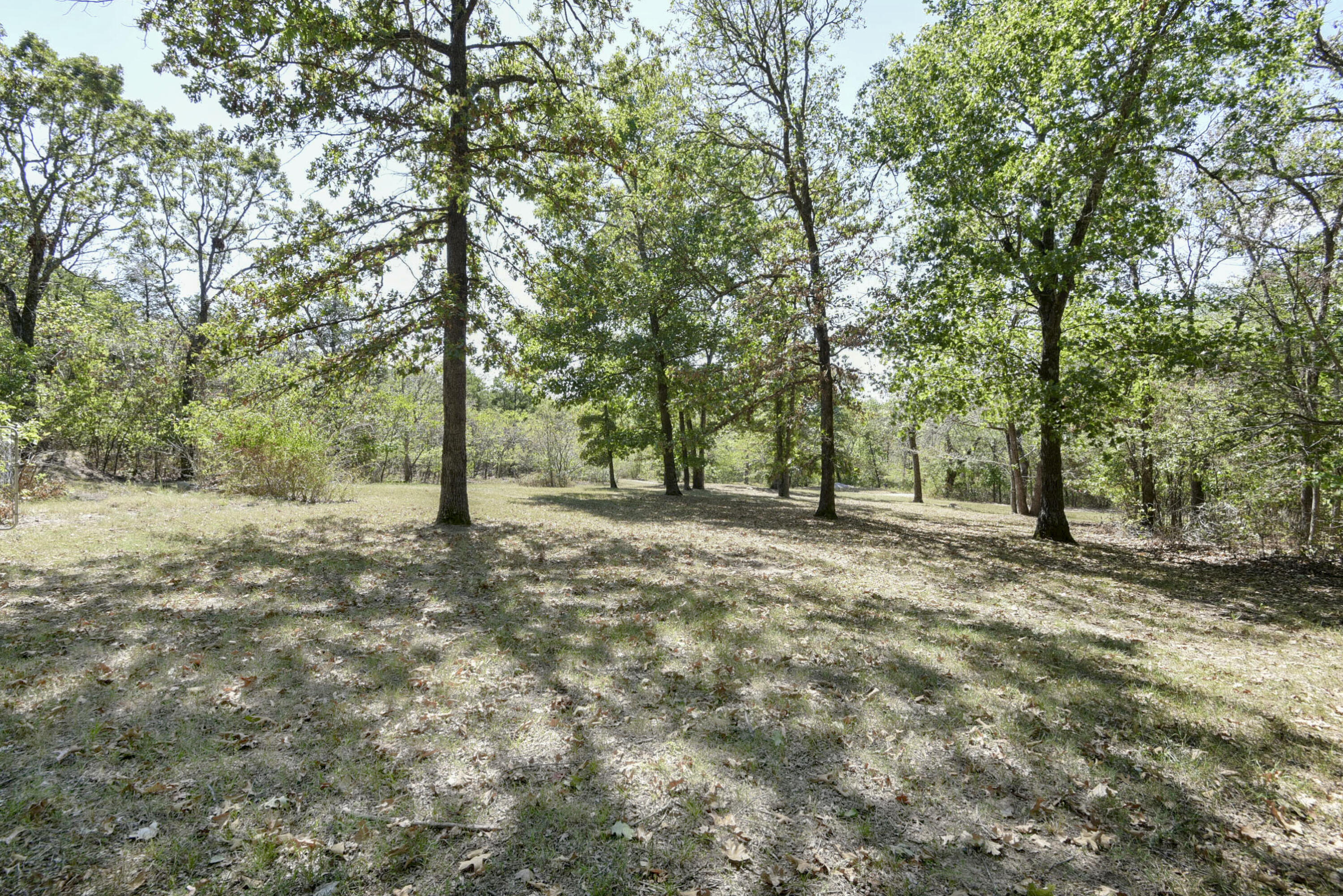 Photo 44 - Residential for sale – 180  Nellie Lane  Lampe, MO
