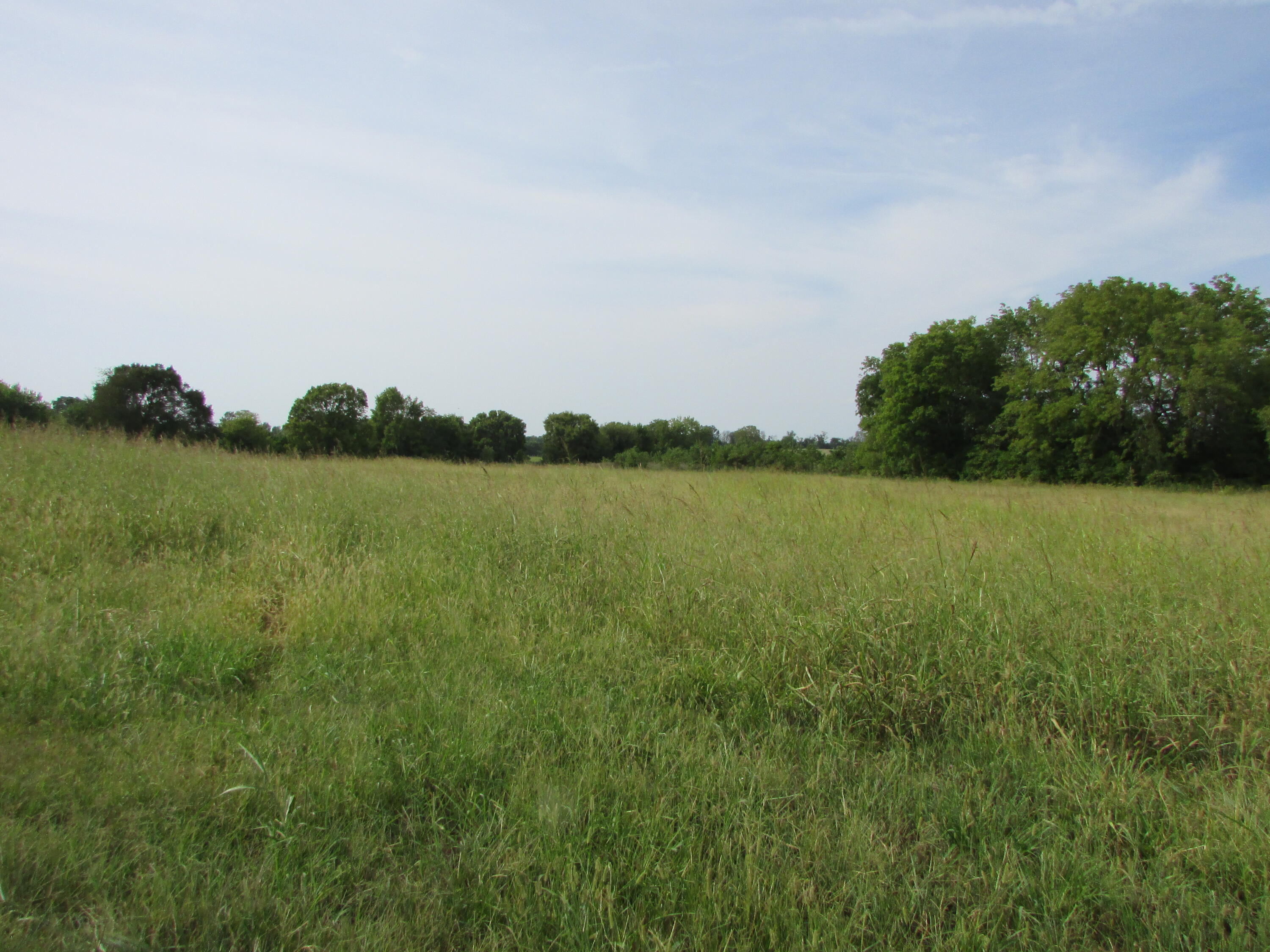Photo 6 - Residential for sale – 7770  Marten Road  Neosho, MO