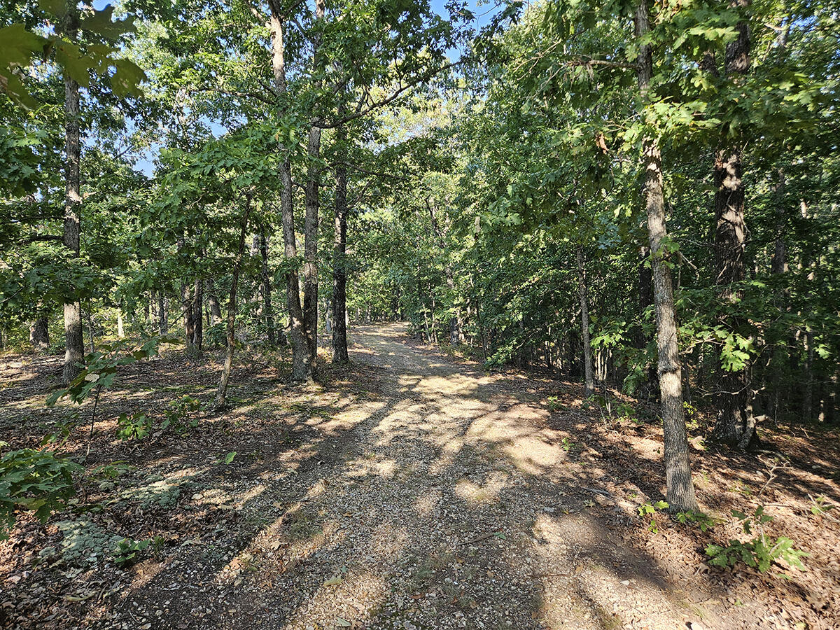 Photo 49 - Residential for sale – 3699  Highway M   Cabool, MO