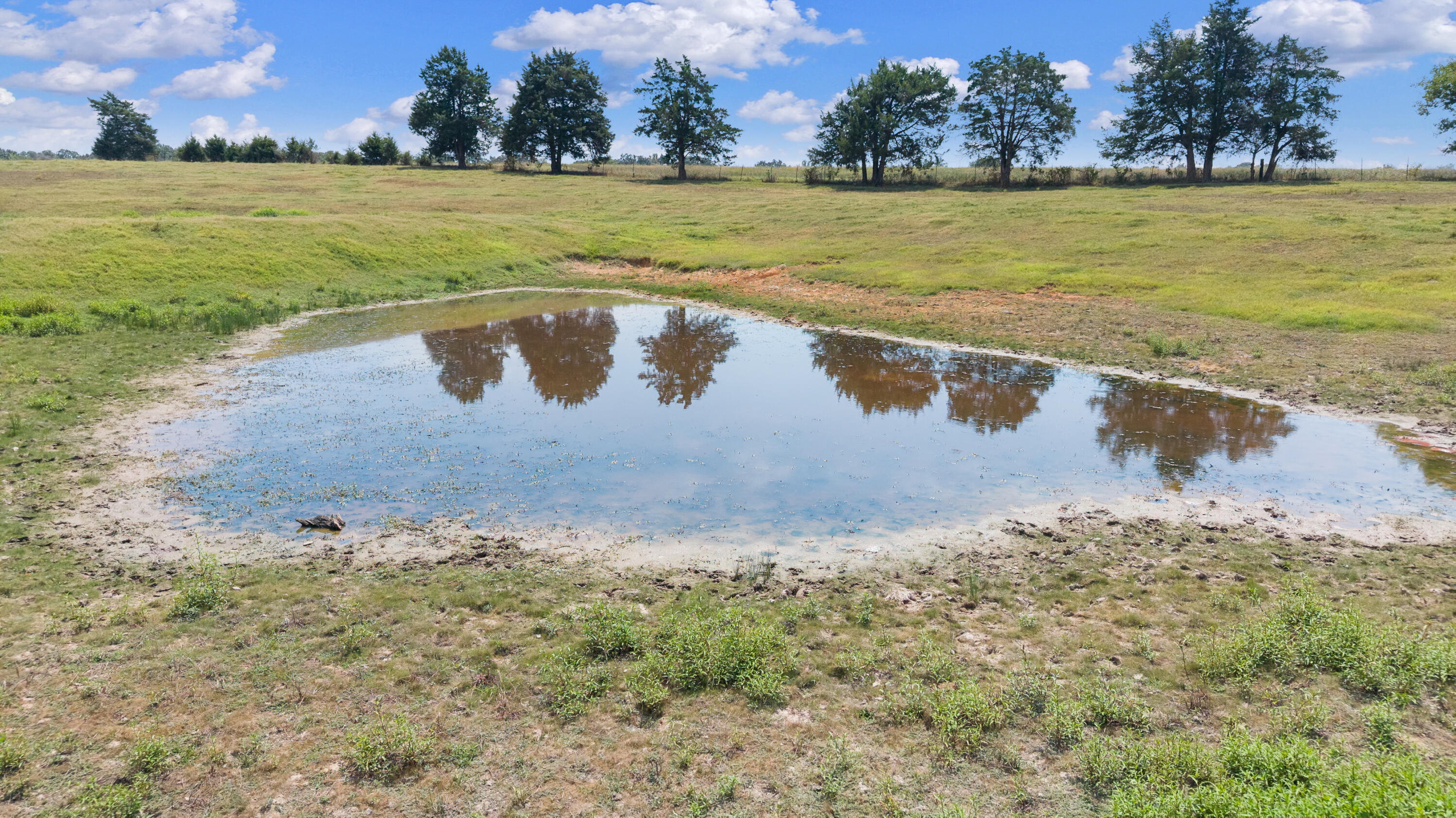Photo 5 - Residential for sale – 7449  Farm Road 2280   Seligman, MO