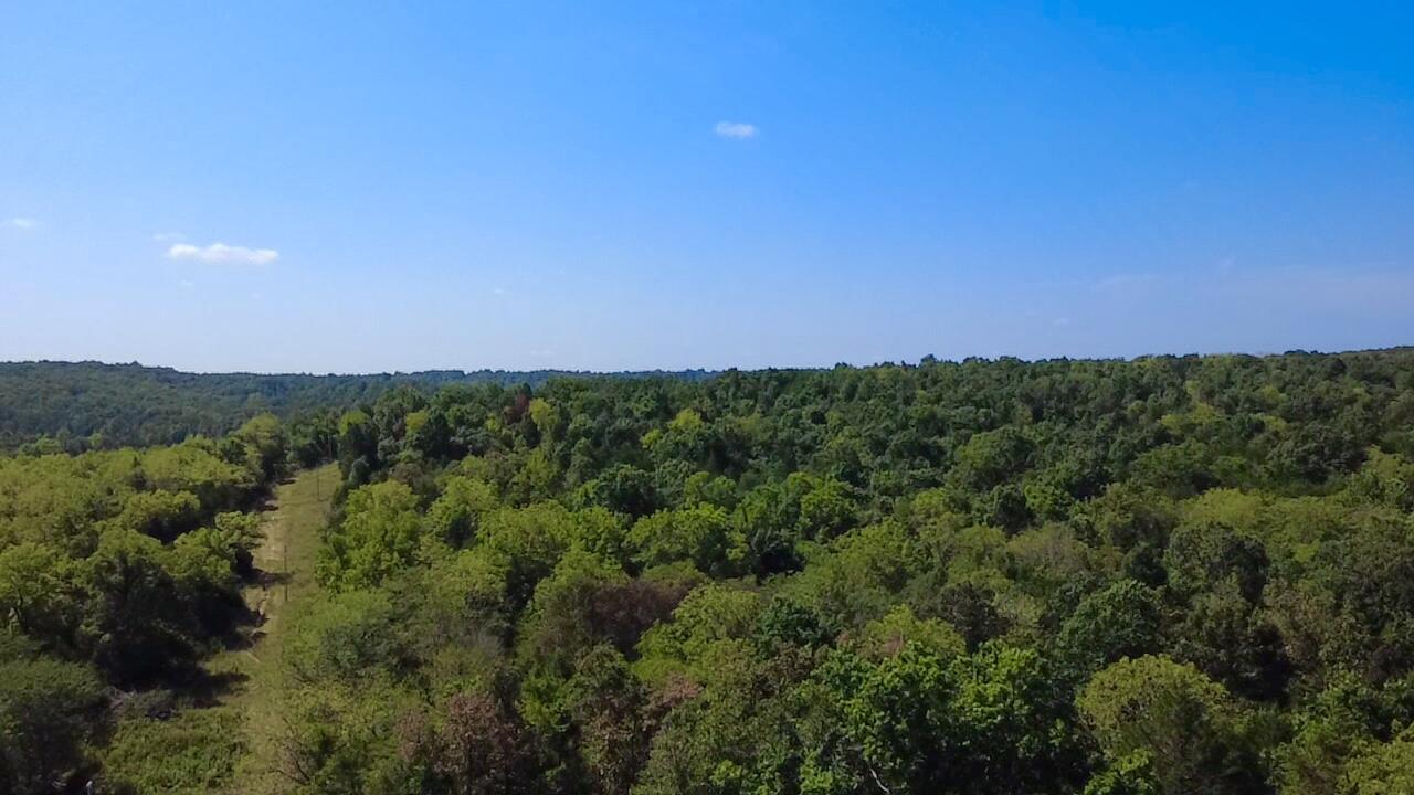 Photo 3 - Land for sale – 00  Oak Grove Road  Cabool, MO