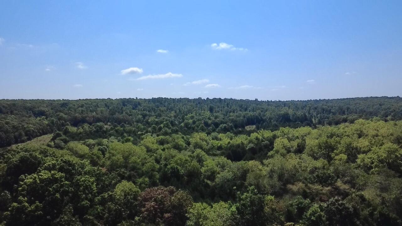 Photo 10 - Land for sale – 00  Oak Grove Road  Cabool, MO