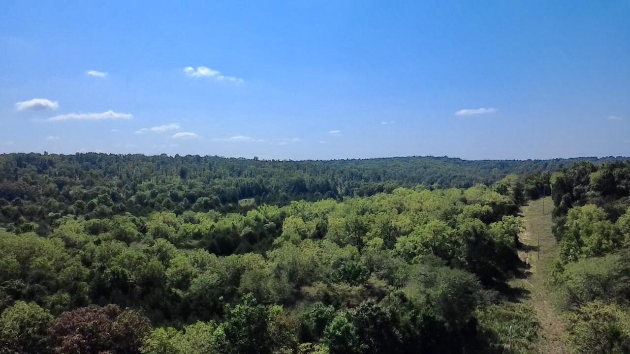 Photo 11 - Land for sale – 00  Oak Grove Road  Cabool, MO