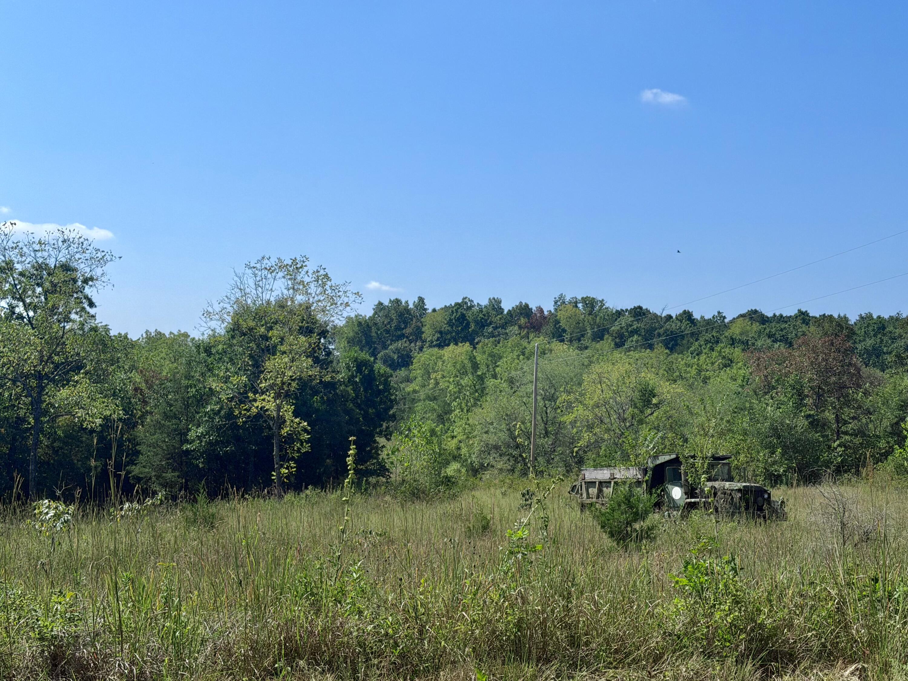 Photo 5 - Land for sale – 00  Oak Grove Road  Cabool, MO