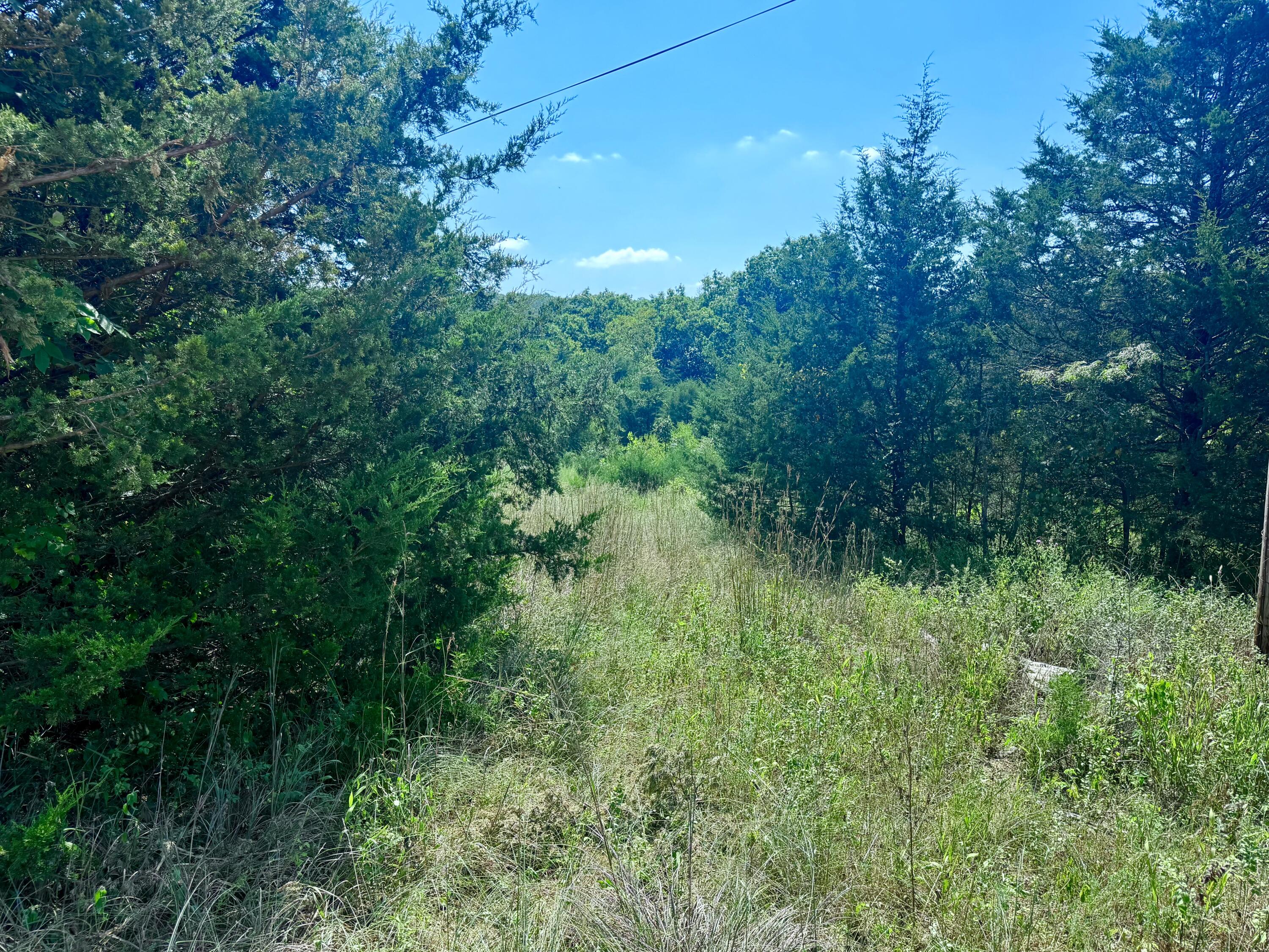 Photo 8 - Land for sale – 00  Oak Grove Road  Cabool, MO