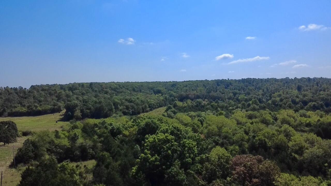 Photo 7 - Land for sale – 00  Oak Grove Road  Cabool, MO