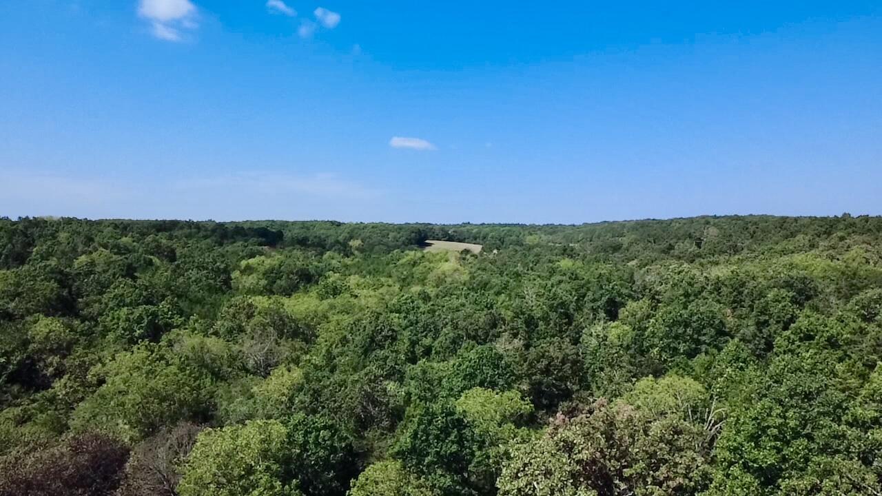 Photo 16 - Land for sale – 00  Oak Grove Road  Cabool, MO