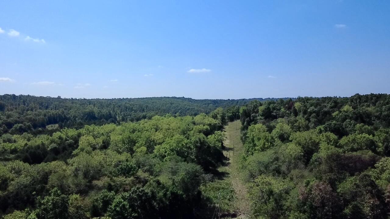 Photo 6 - Land for sale – 00  Oak Grove Road  Cabool, MO