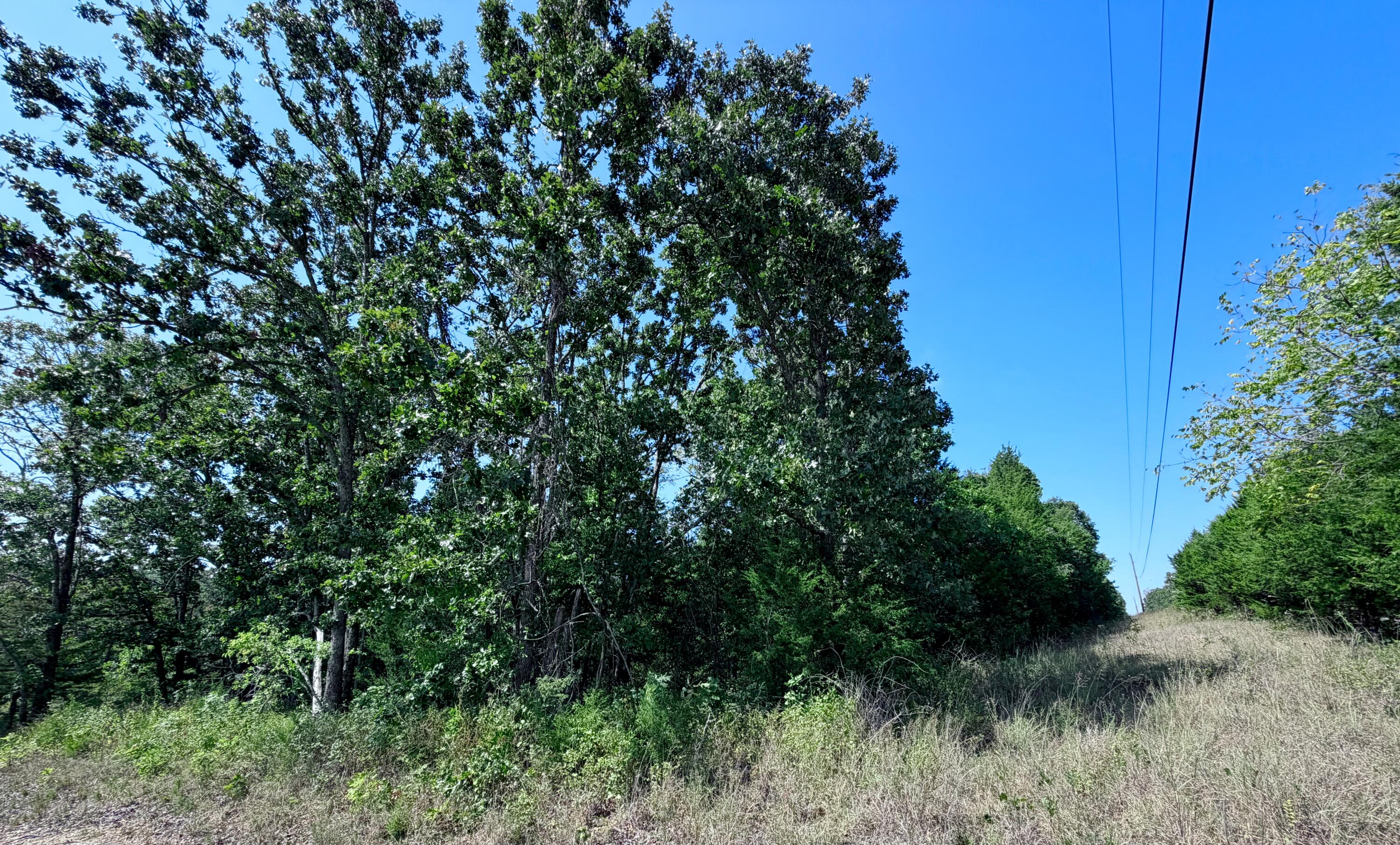 Photo 12 - Land for sale – 00  Oak Grove Road  Cabool, MO