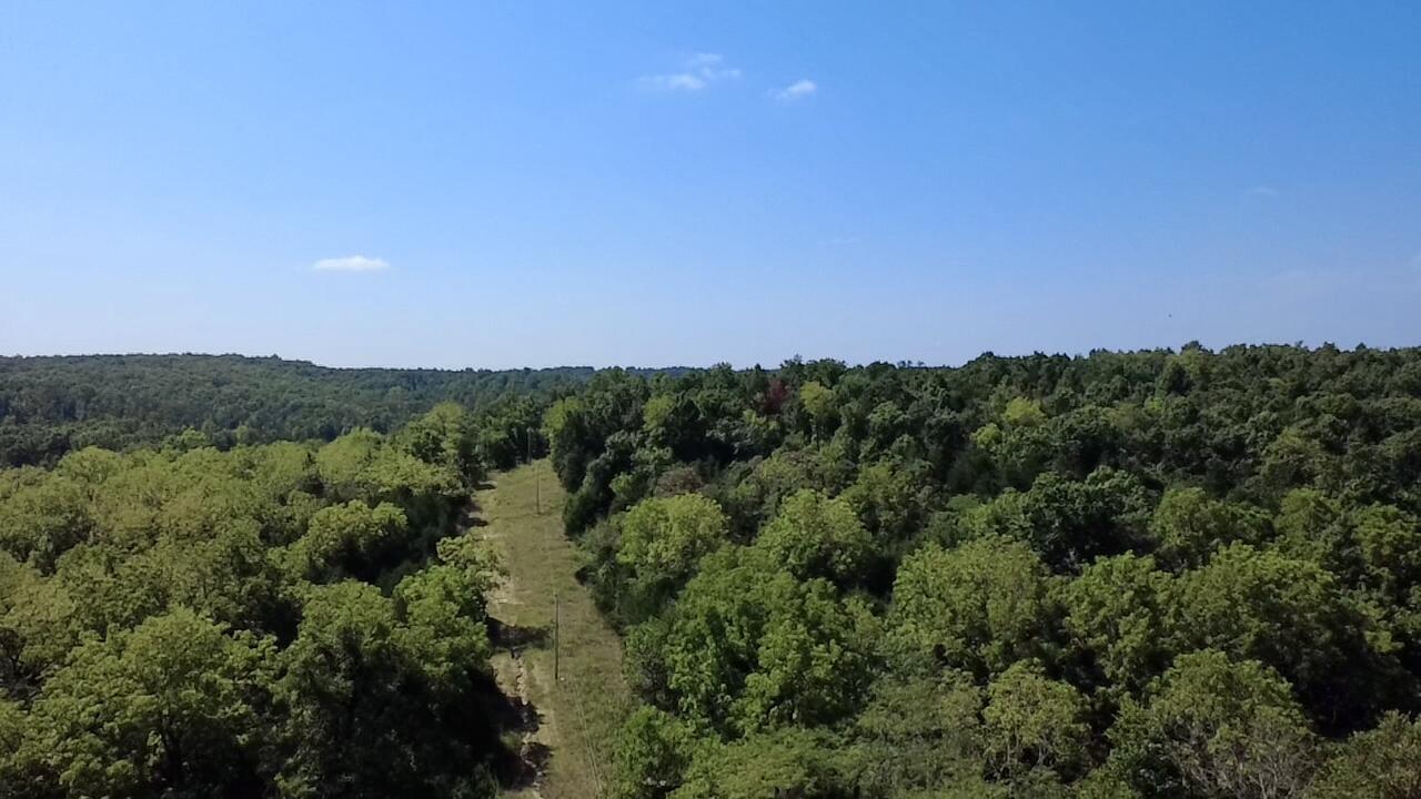 Photo 11 - Land for sale – 00  Oak Grove Road  Cabool, MO