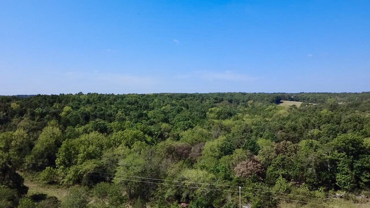 Photo 2 - Land for sale – 00  Oak Grove Road  Cabool, MO