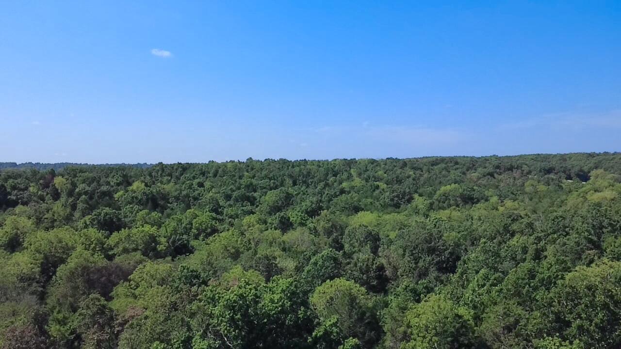 Photo 4 - Land for sale – 00  Oak Grove Road  Cabool, MO