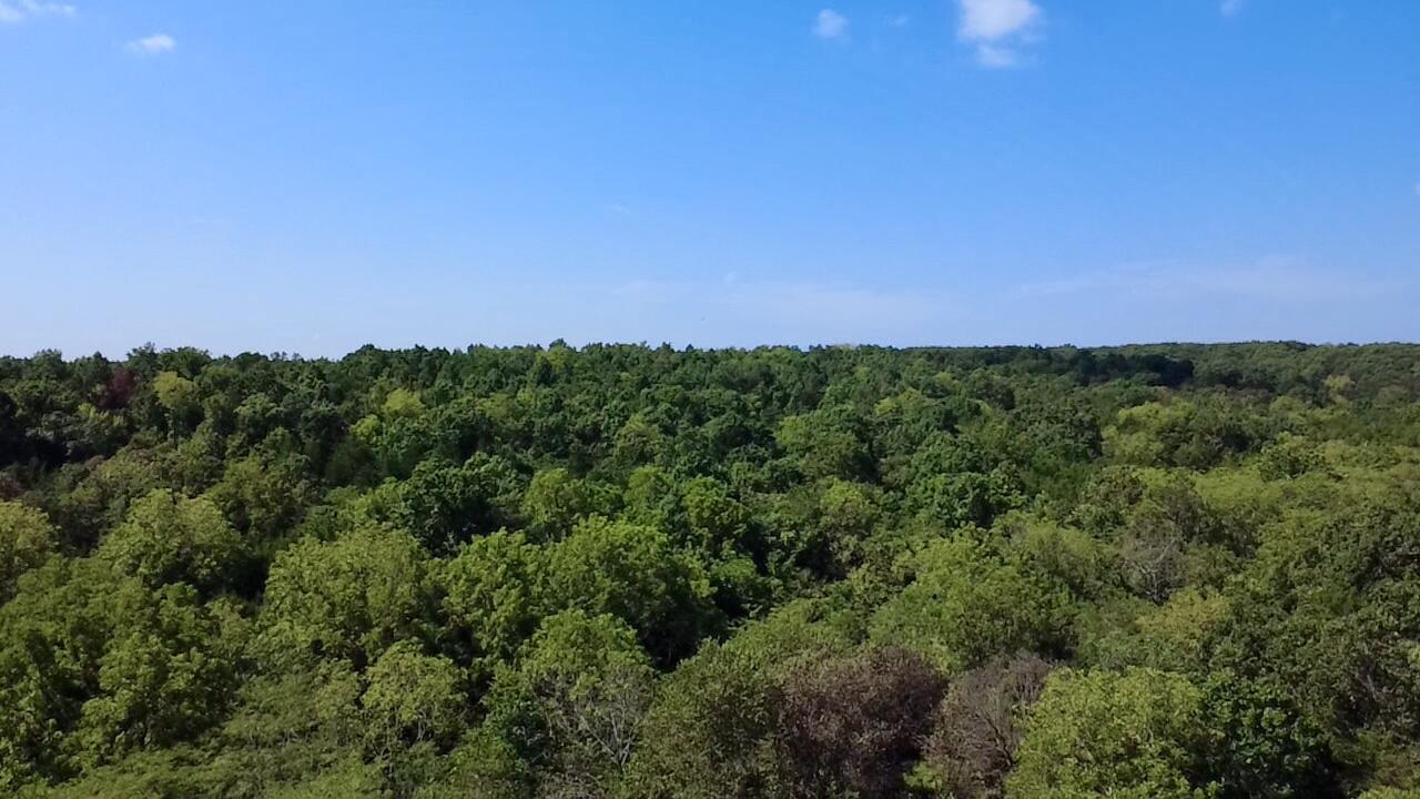 Photo 10 - Land for sale – 00  Oak Grove Road  Cabool, MO