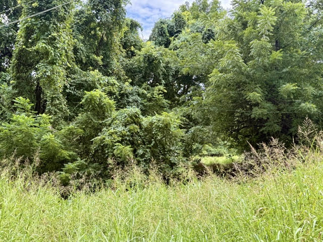 Photo 2 - Land for sale – 000 E Grand - 6.97 Acre M/L Street  Springfield, MO