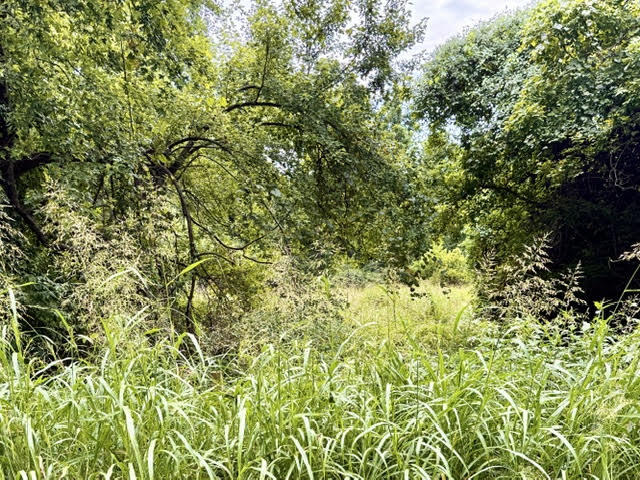 Photo 3 - Land for sale – 000 E Grand - 6.97 Acre M/L Street  Springfield, MO