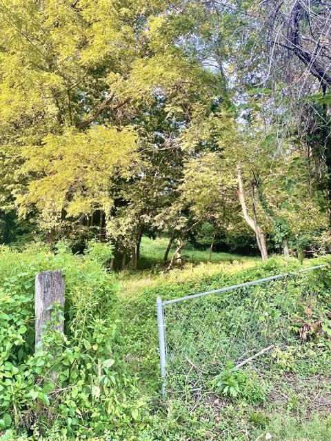 Land for sale – 000 E Grand - 6.97 Acre M/L Street  Springfield, MO