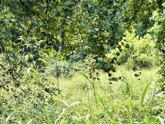 Photo 5 - Land for sale – 000 E Grand - 6.97 Acre M/L Street  Springfield, MO