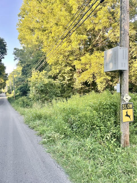 Photo 9 - Land for sale – 000 E Grand - 6.97 Acre M/L Street  Springfield, MO