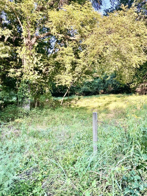 Photo 4 - Land for sale – 000 E Grand - 6.97 Acre M/L Street  Springfield, MO