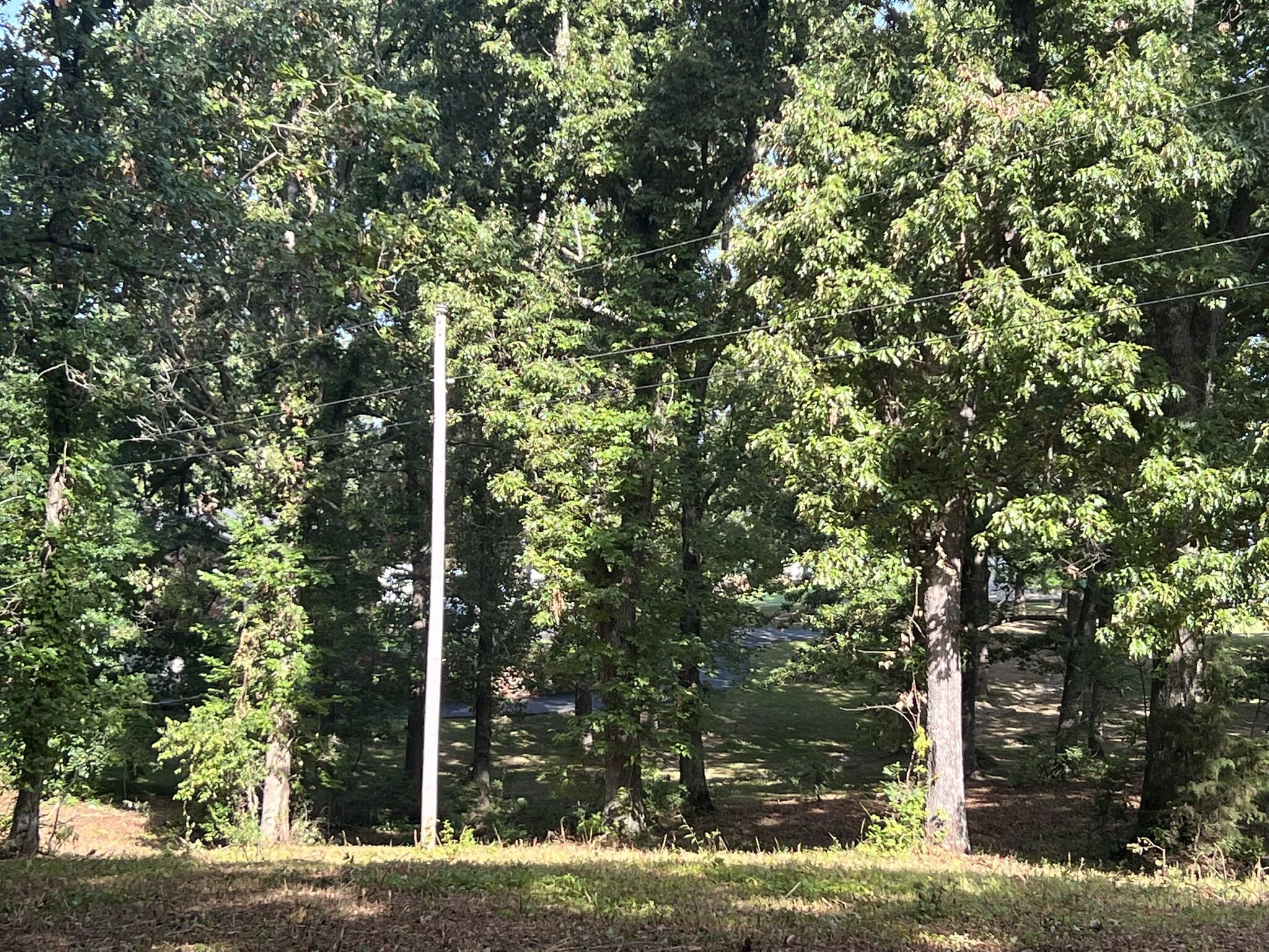 Land for sale – 000 N Highway 9   Mammoth Spring, AR