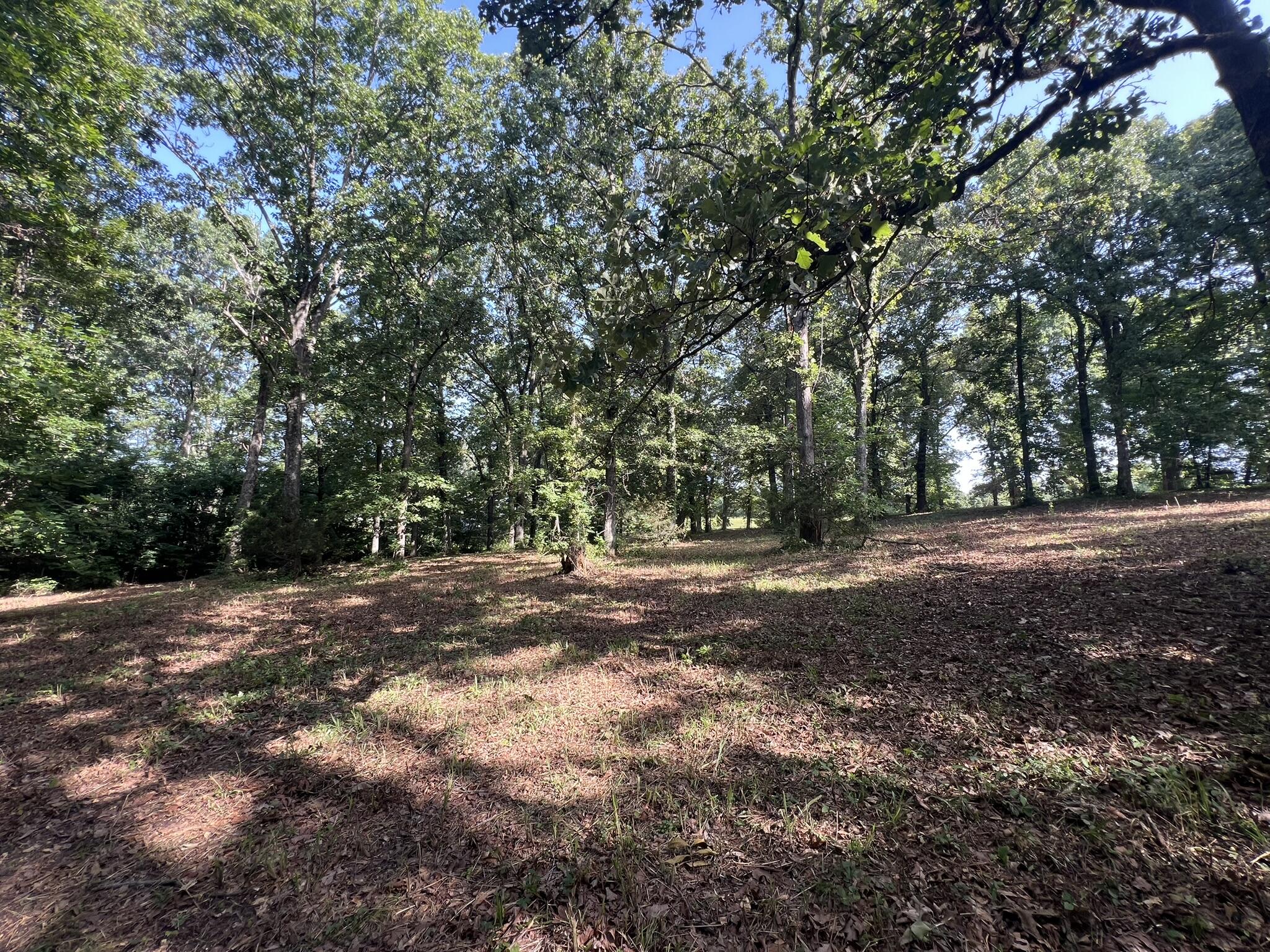 Photo 9 - Land for sale – 000 N Highway 9   Mammoth Spring, AR