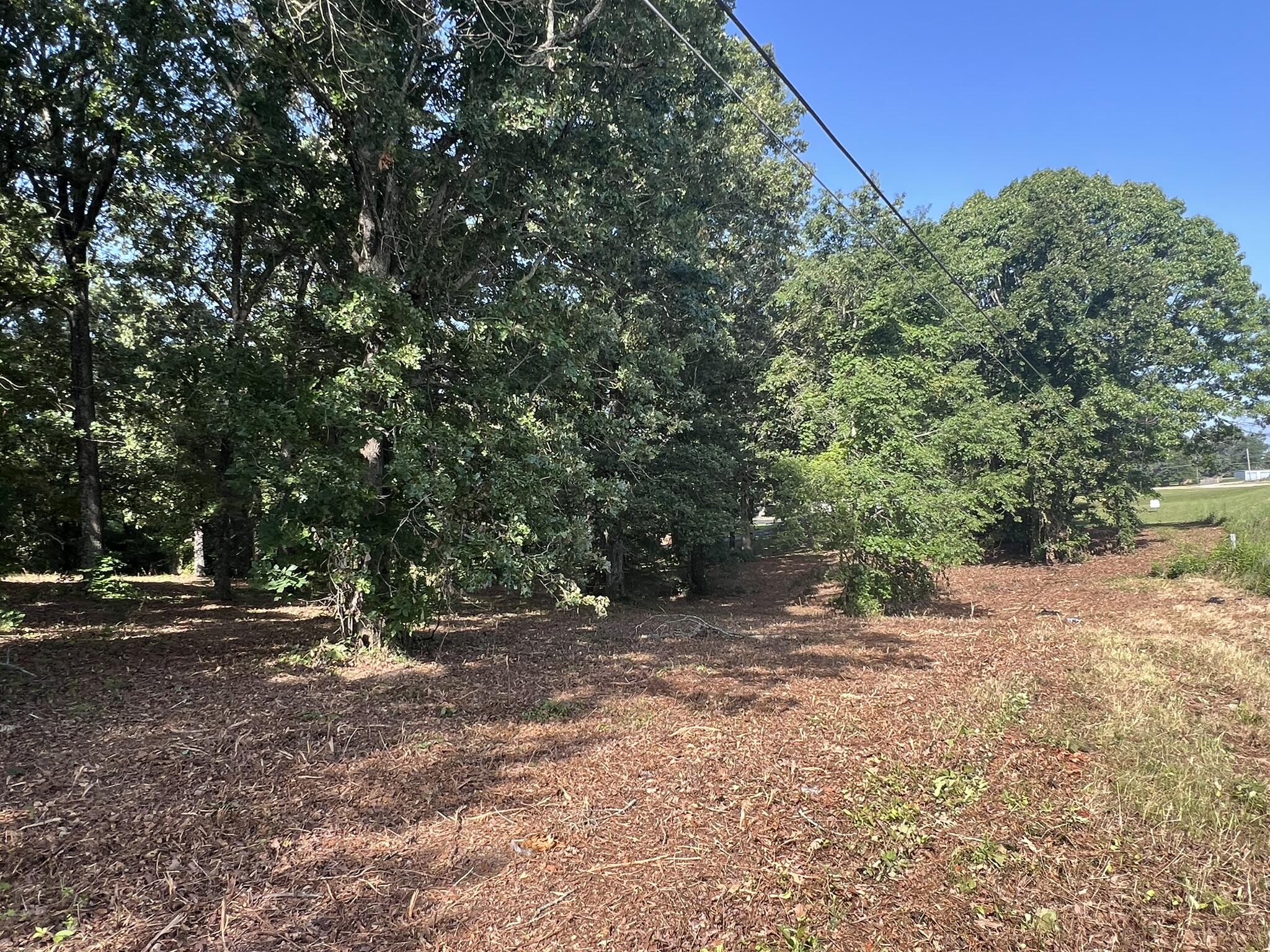 Photo 21 - Land for sale – 000 N Highway 9   Mammoth Spring, AR