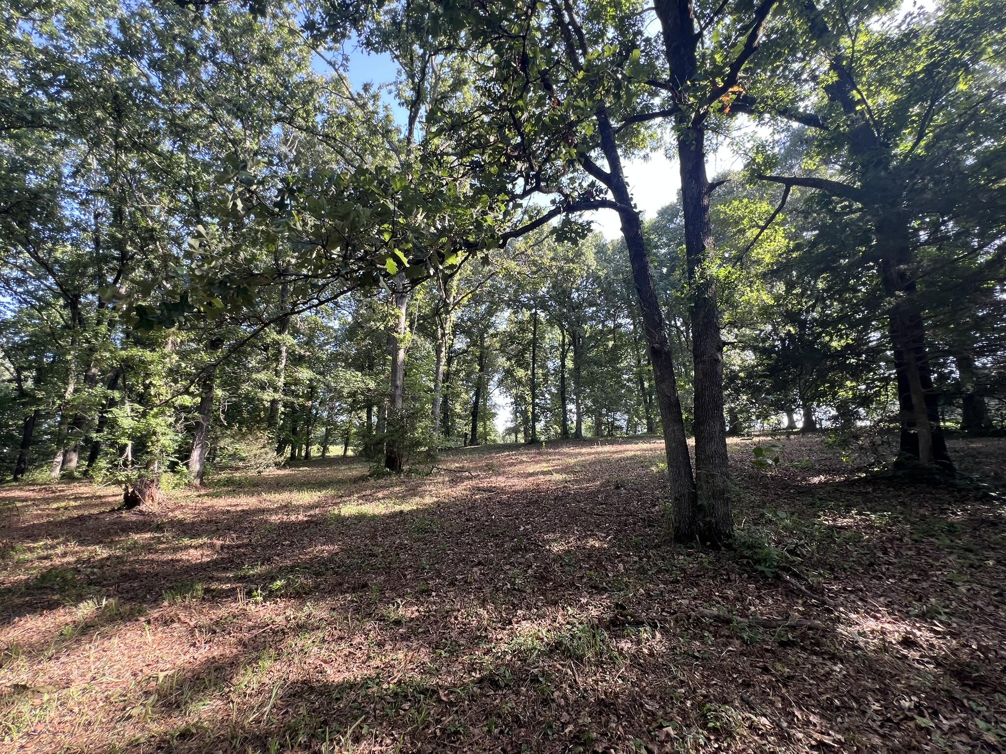 Photo 10 - Land for sale – 000 N Highway 9   Mammoth Spring, AR