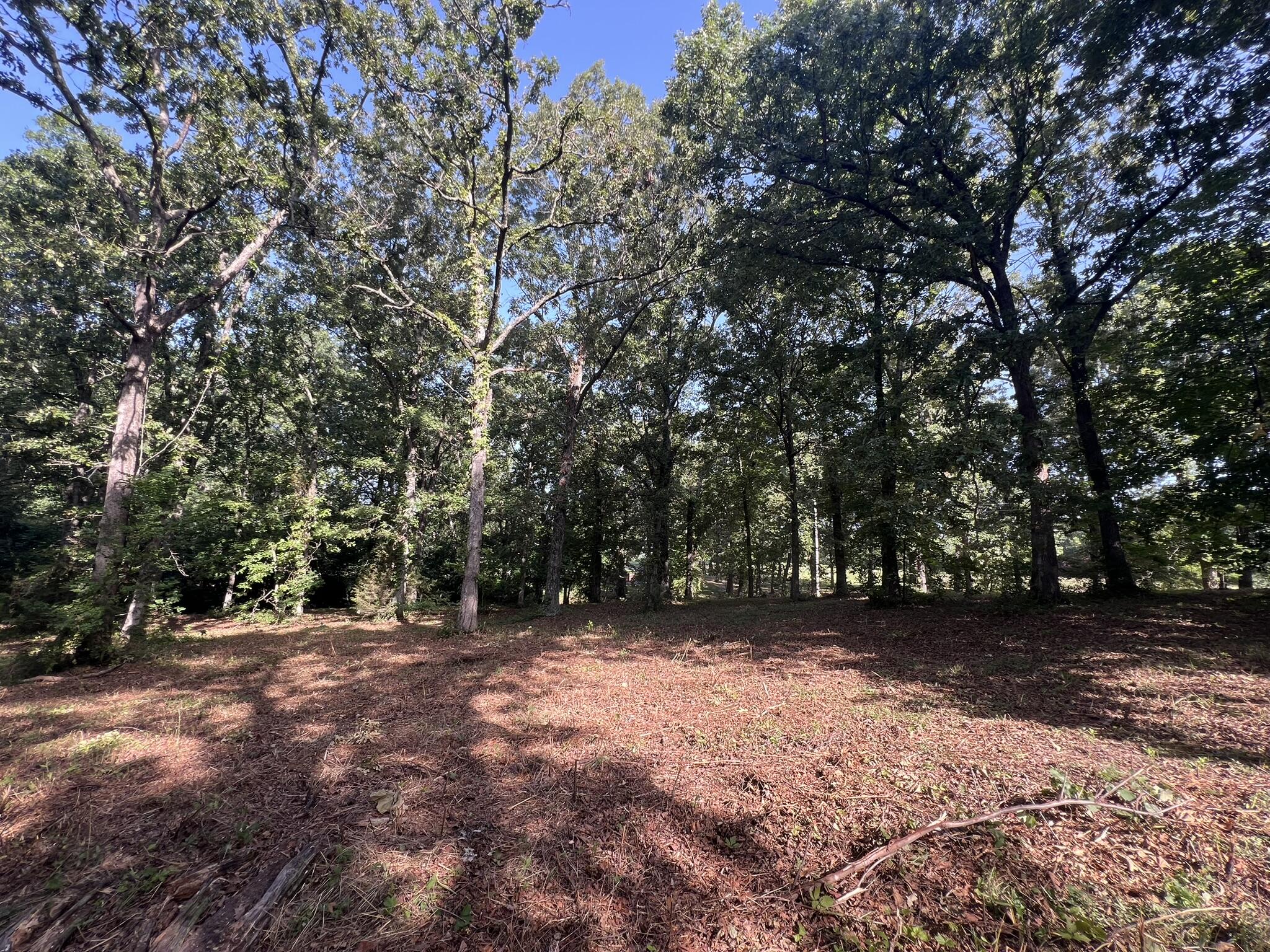 Photo 13 - Land for sale – 000 N Highway 9   Mammoth Spring, AR