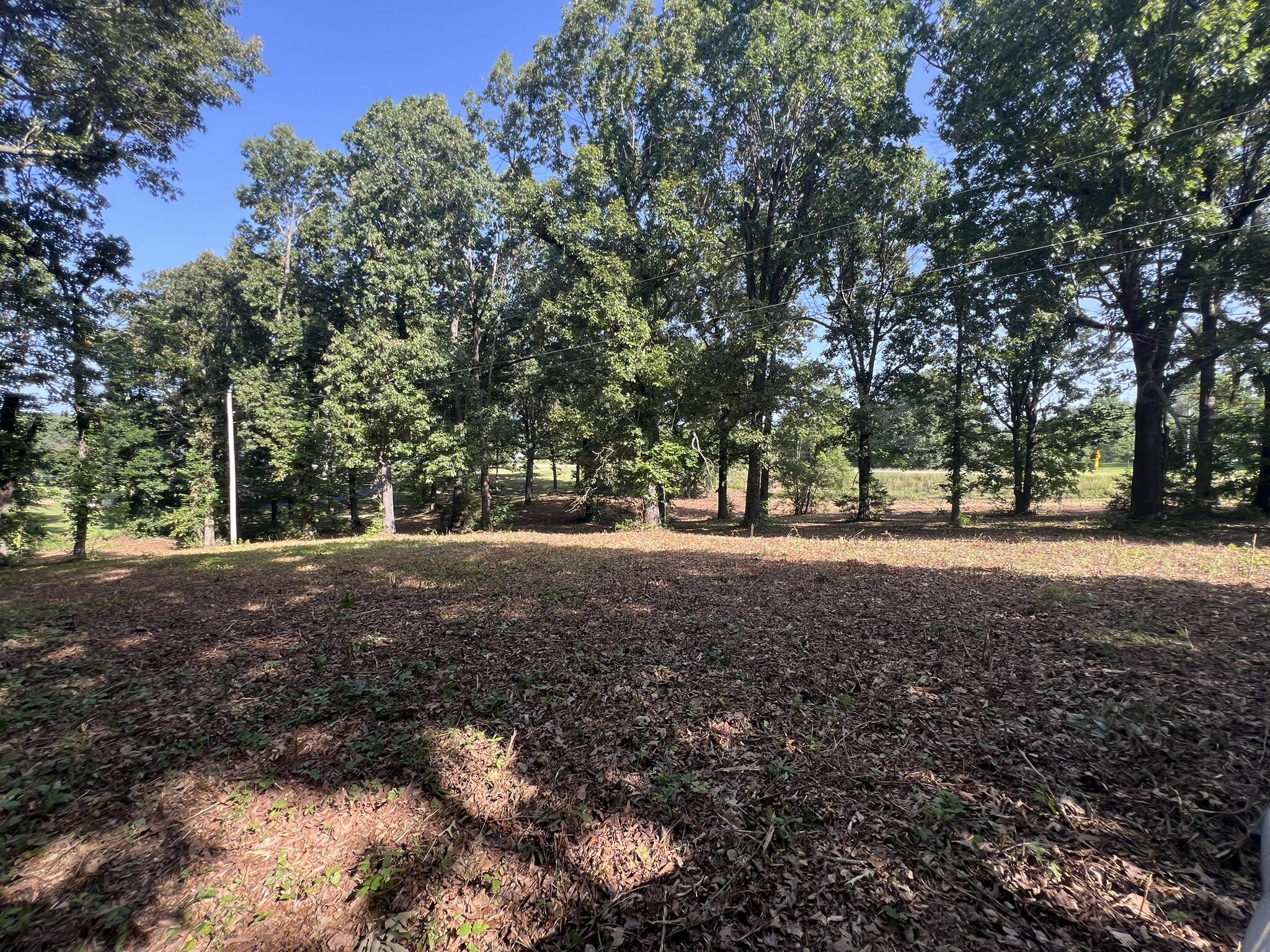 Photo 17 - Land for sale – 000 N Highway 9   Mammoth Spring, AR