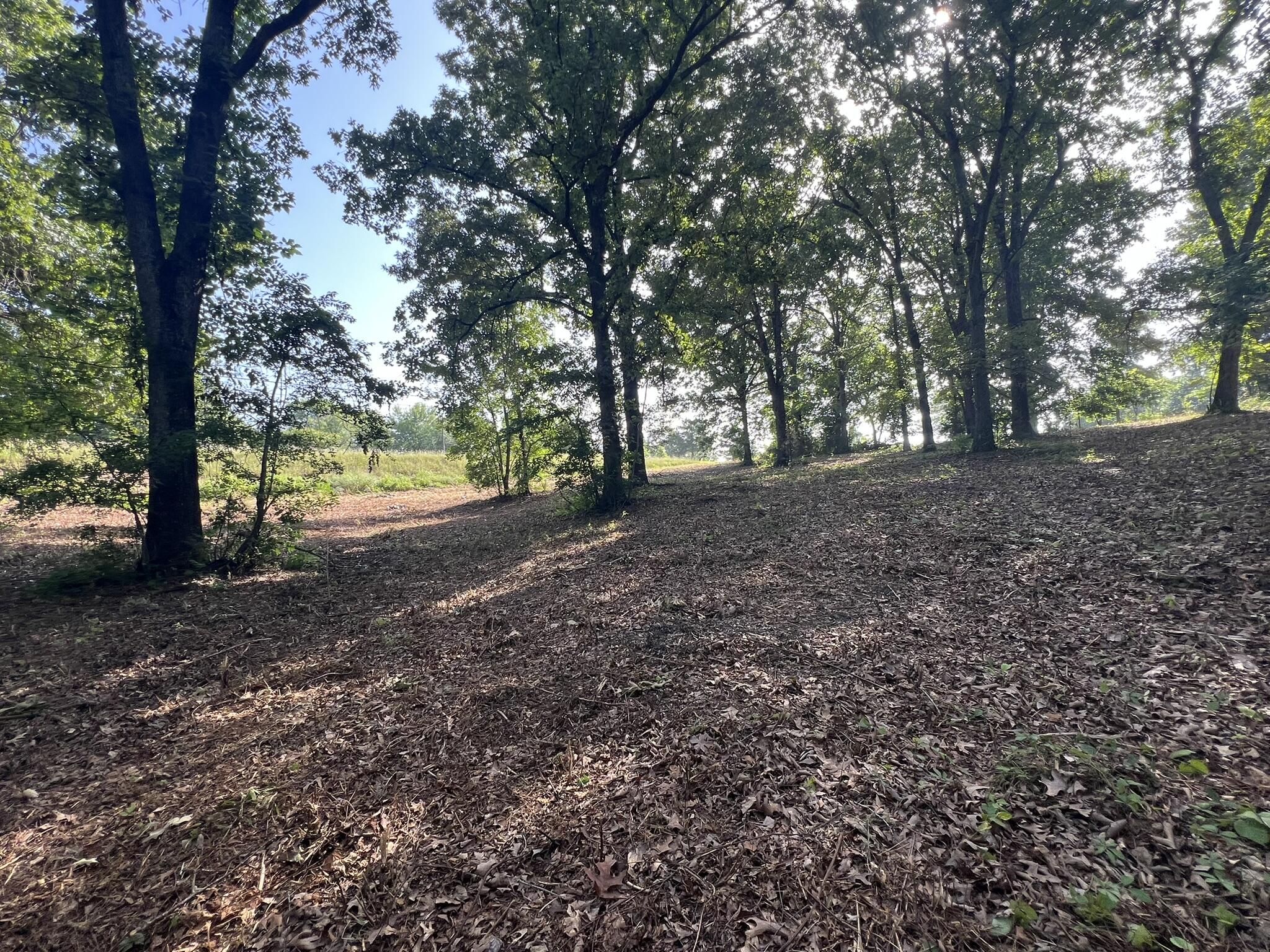 Photo 6 - Land for sale – 000 N Highway 9   Mammoth Spring, AR