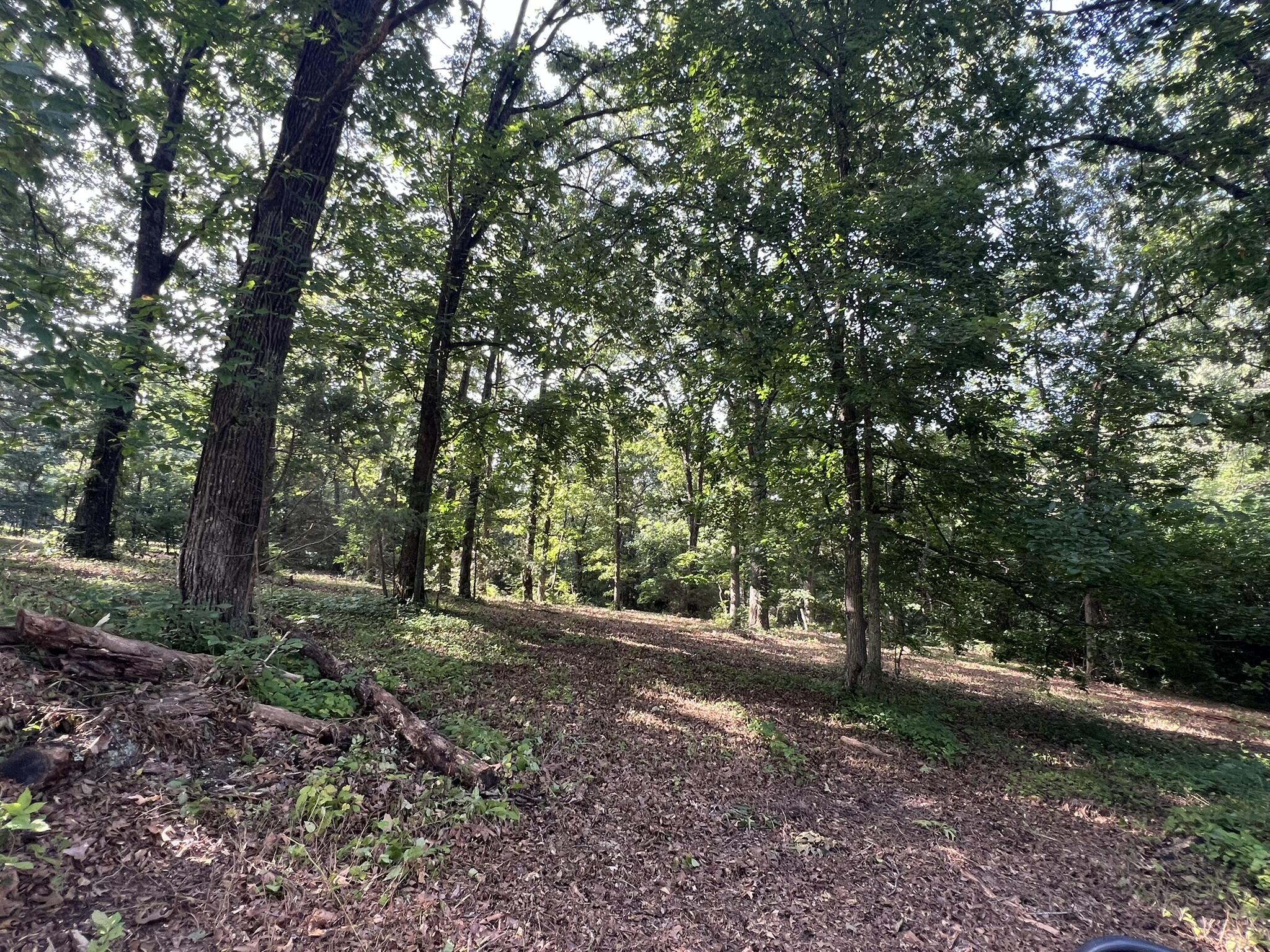 Photo 7 - Land for sale – 000 N Highway 9   Mammoth Spring, AR