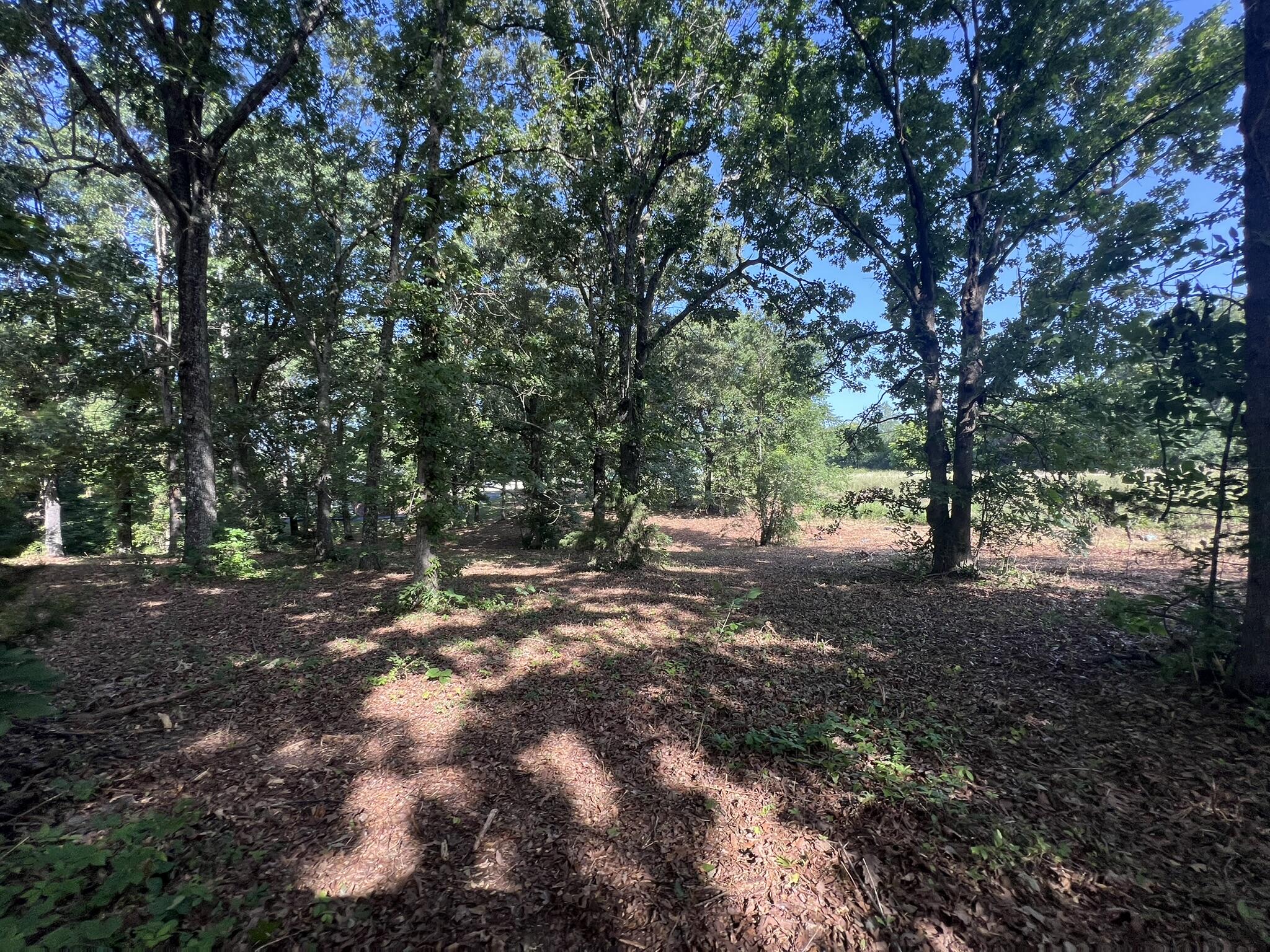 Photo 19 - Land for sale – 000 N Highway 9   Mammoth Spring, AR