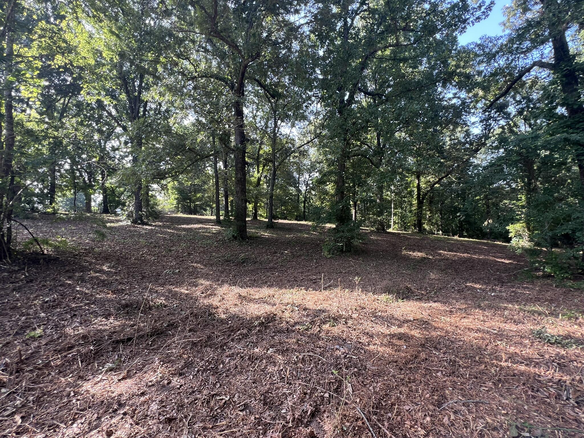 Photo 22 - Land for sale – 000 N Highway 9   Mammoth Spring, AR