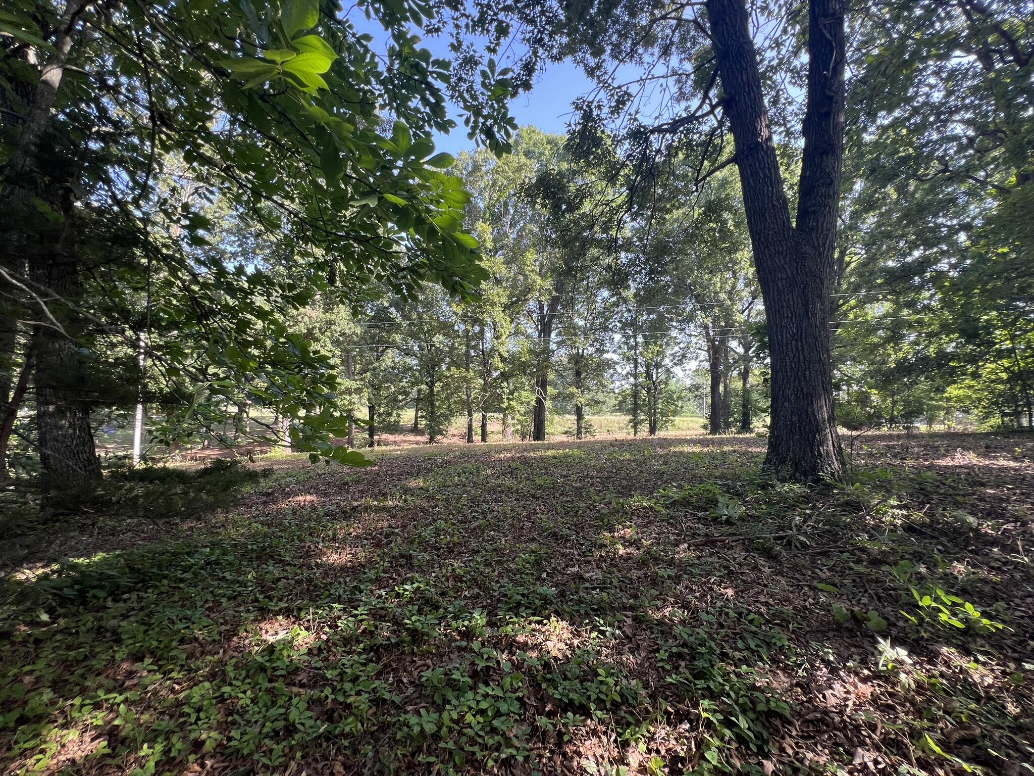 Photo 14 - Land for sale – 000 N Highway 9   Mammoth Spring, AR