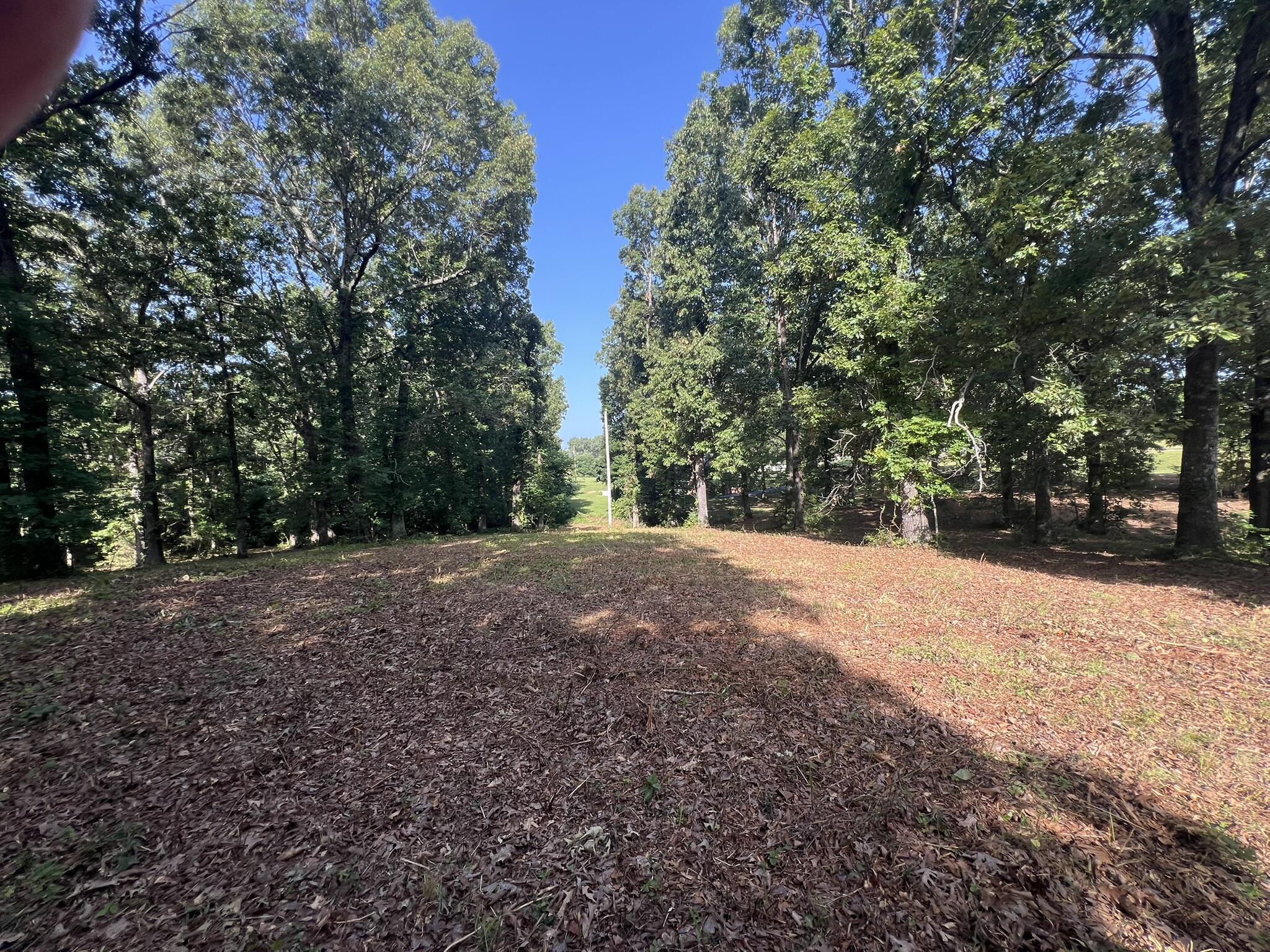 Photo 4 - Land for sale – 000 N Highway 9   Mammoth Spring, AR