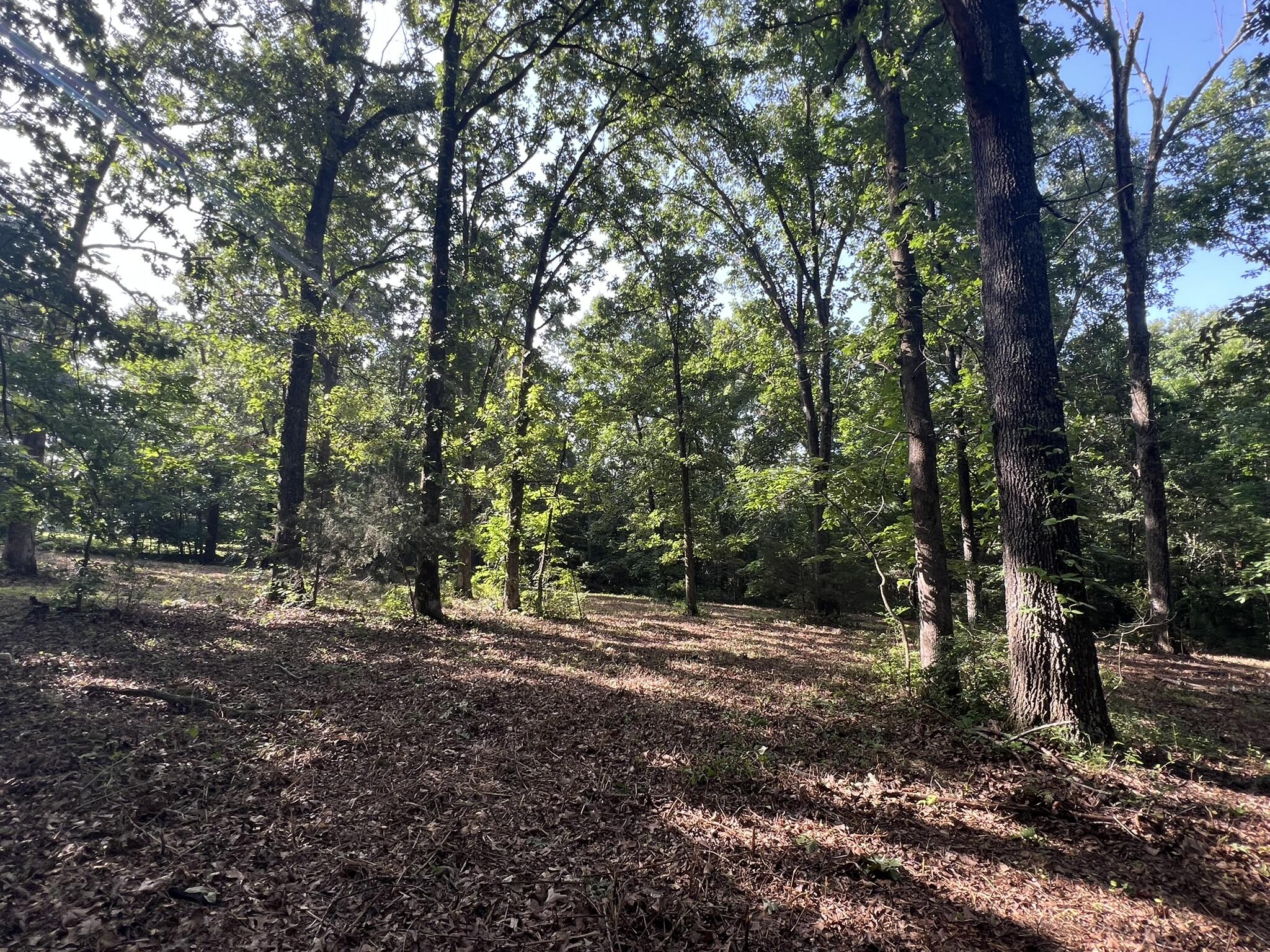 Photo 8 - Land for sale – 000 N Highway 9   Mammoth Spring, AR