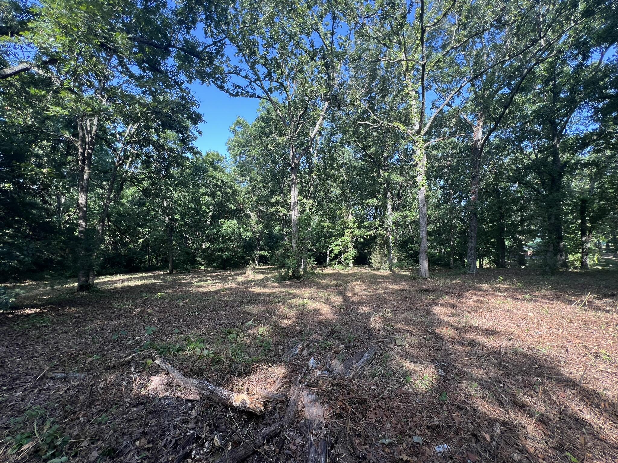 Photo 12 - Land for sale – 000 N Highway 9   Mammoth Spring, AR