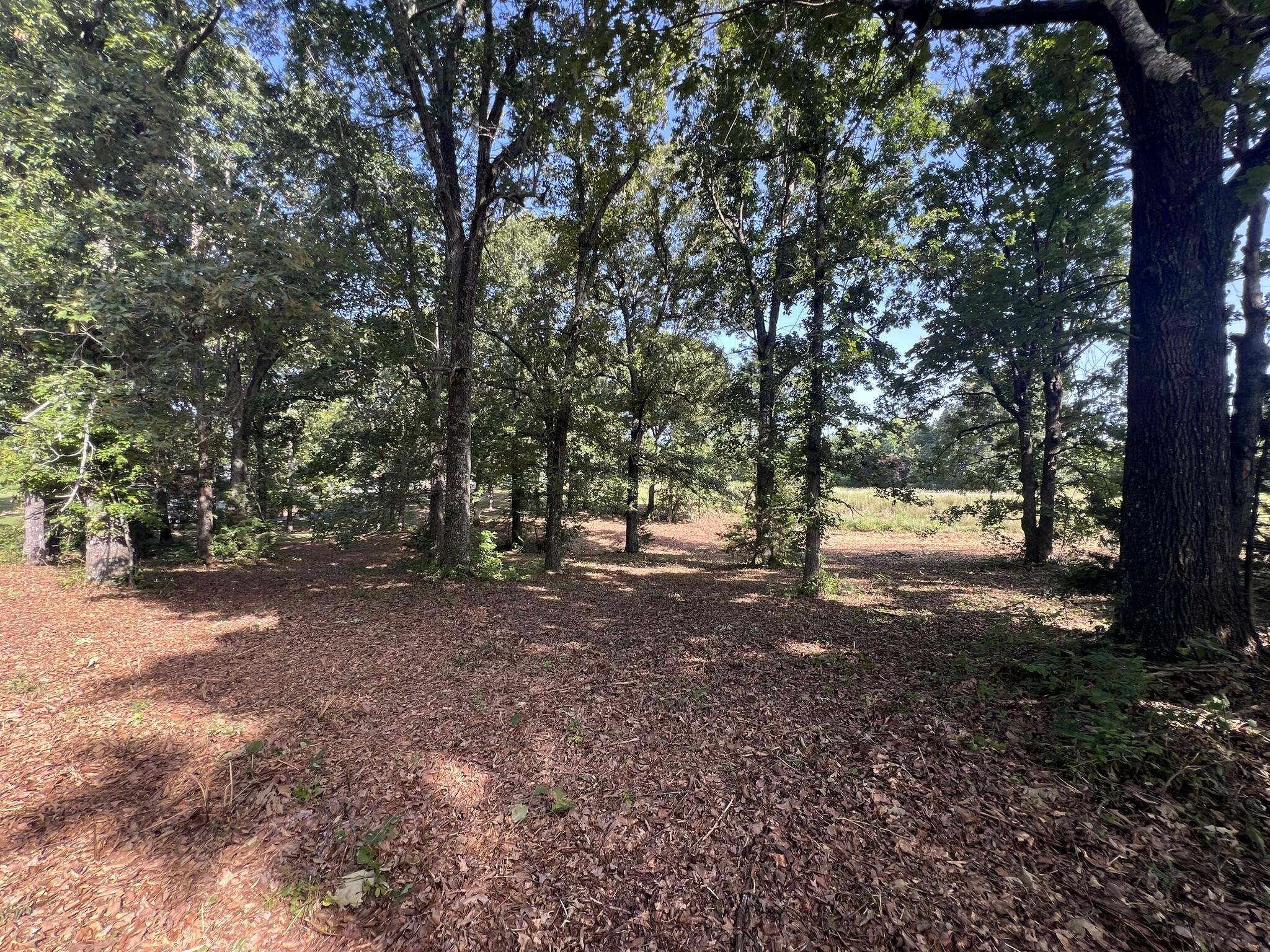 Photo 18 - Land for sale – 000 N Highway 9   Mammoth Spring, AR