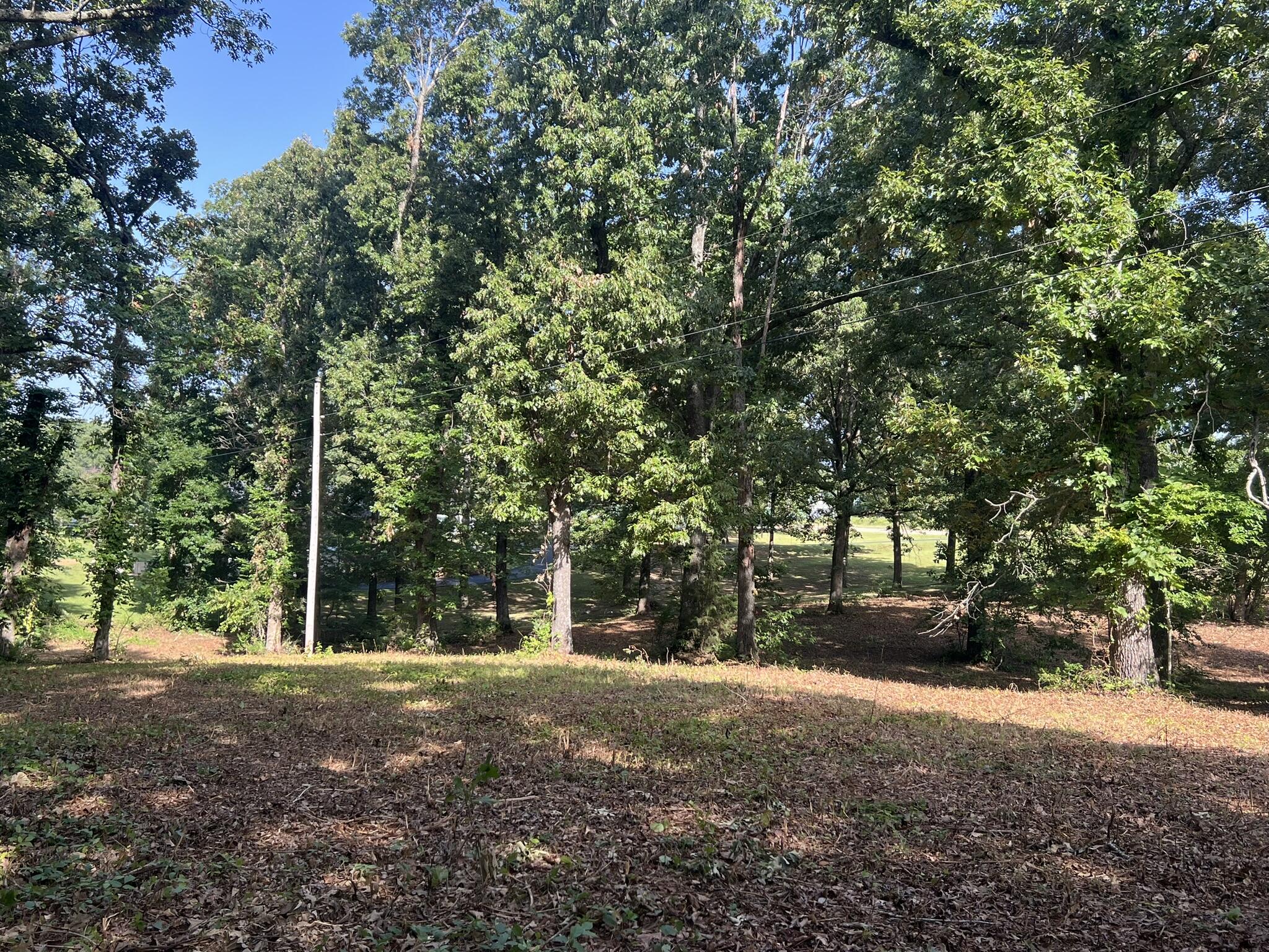 Photo 16 - Land for sale – 000 N Highway 9   Mammoth Spring, AR