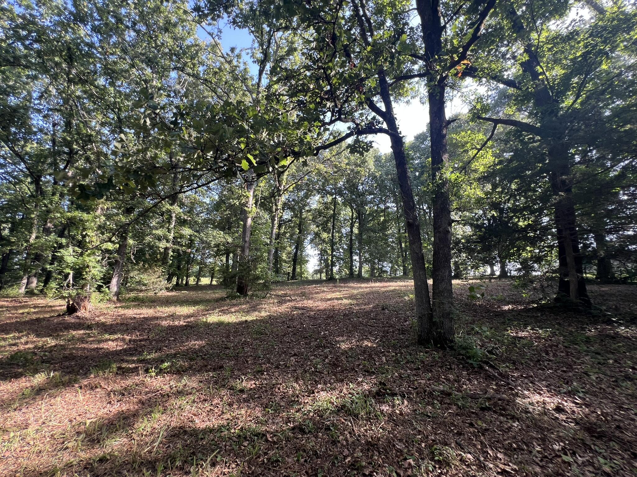 Photo 11 - Land for sale – 000 N Highway 9   Mammoth Spring, AR