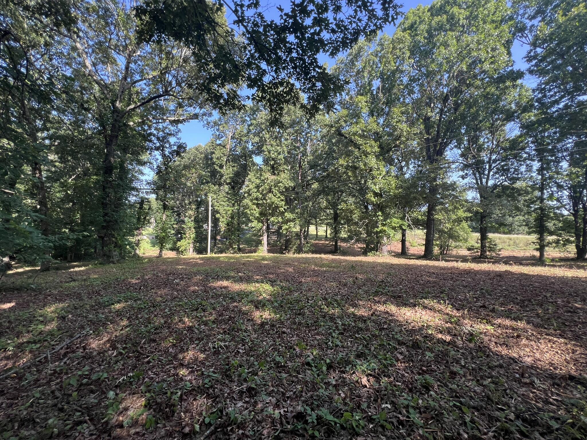 Photo 15 - Land for sale – 000 N Highway 9   Mammoth Spring, AR