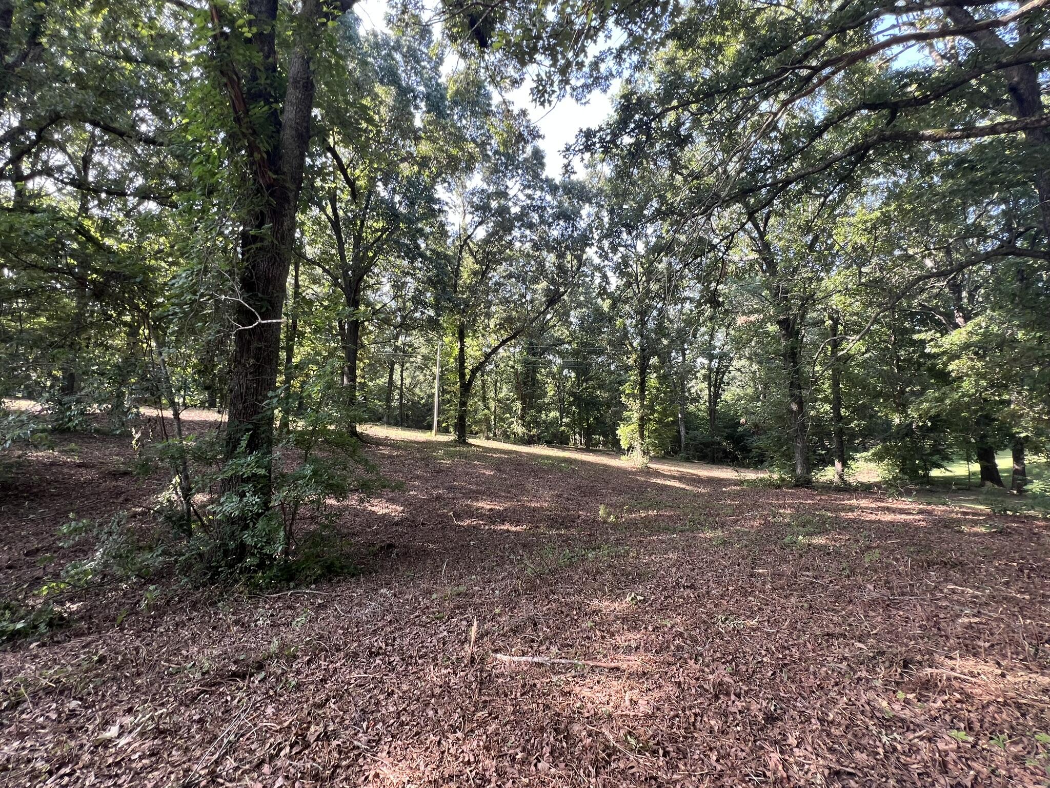 Photo 5 - Land for sale – 000 N Highway 9   Mammoth Spring, AR