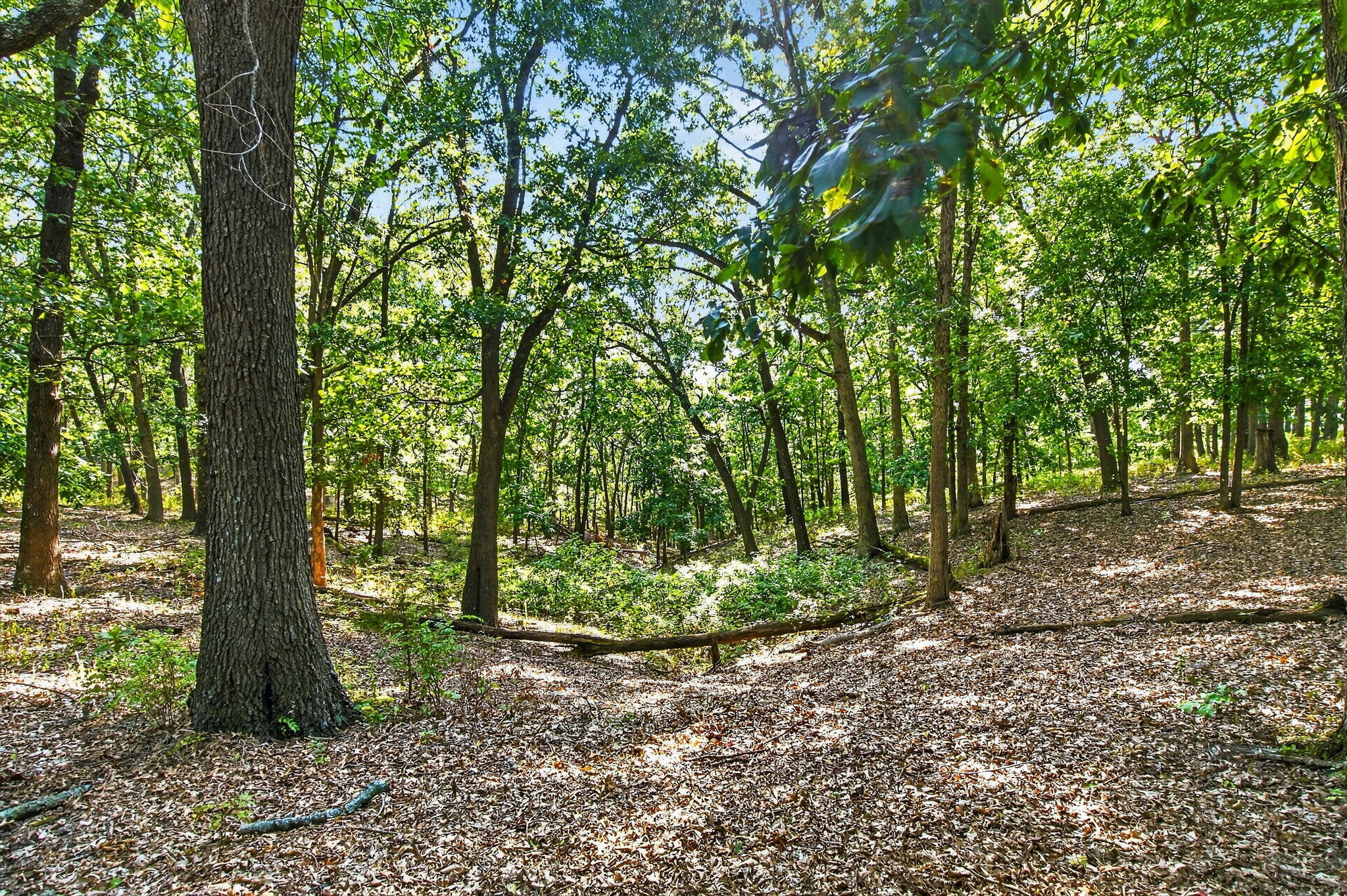 Photo 3 - Land for sale – 14  Buena Vista Parkway  Strafford, MO
