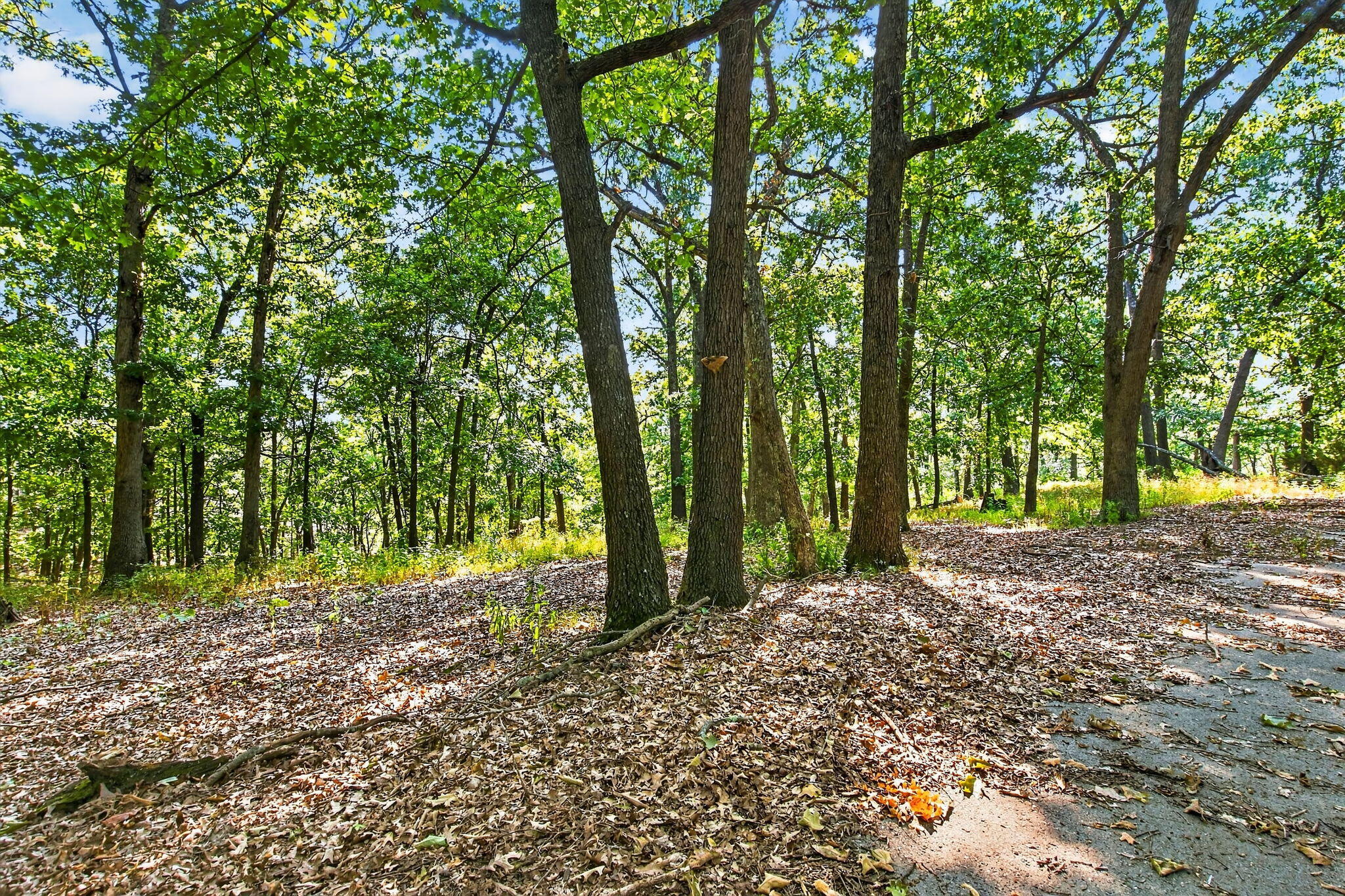 Photo 4 - Land for sale – 14  Buena Vista Parkway  Strafford, MO